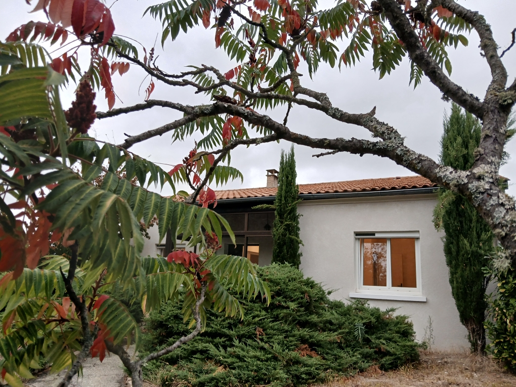 VENTE - Maison - SAINT MARCELLIN EN FOREZ (42680) - 345000 €