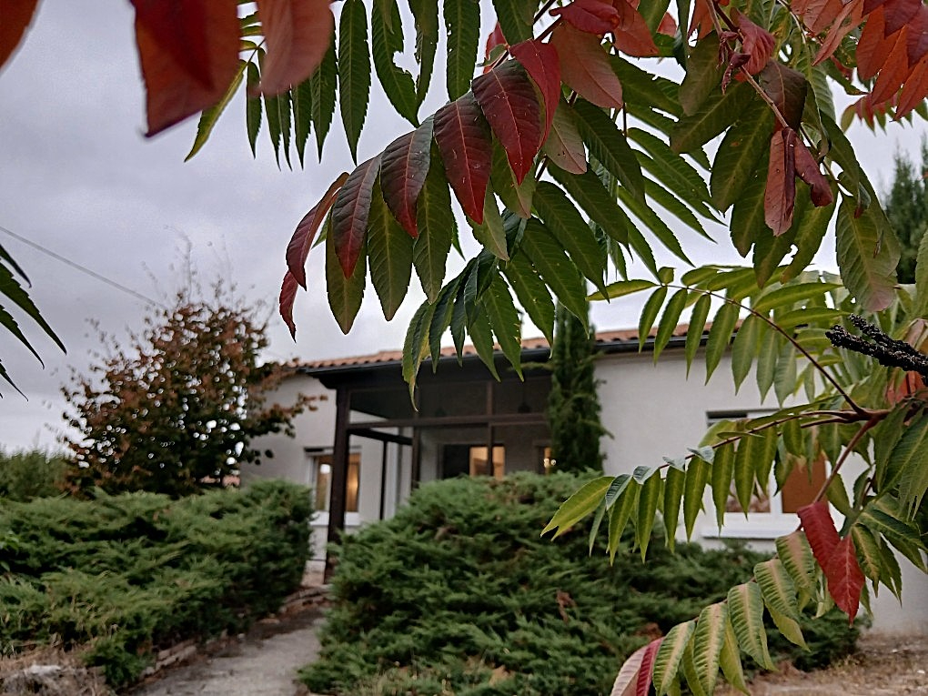 VENTE - Maison - SAINT MARCELLIN EN FOREZ (42680) - 345000 €