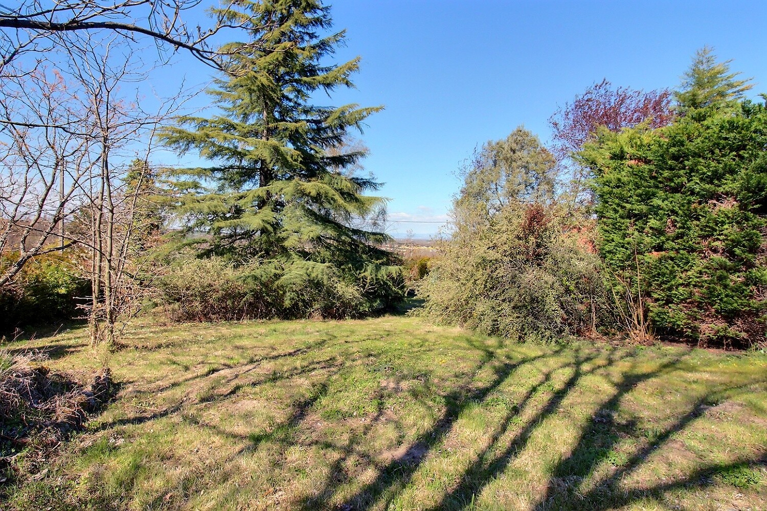 VENTE - Maison - SAINT MARCELLIN EN FOREZ (42680) - 345000 €