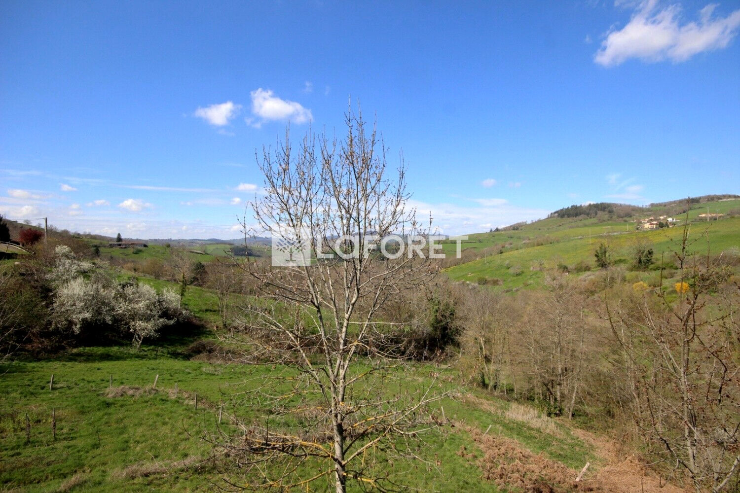 VENTE - Maison - YZERON (69510) - 265000 €