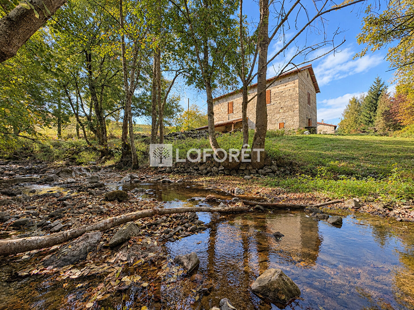 VENTE - Maison - SAINT MARTIN EN HAUT (69850) - 535000 €