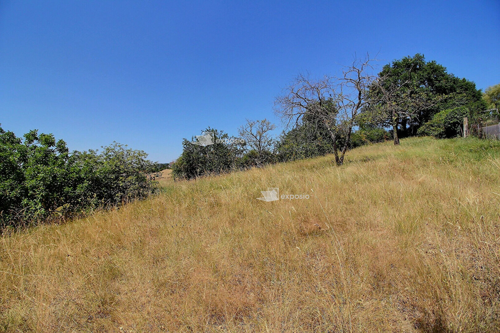 VENTE - Terrain - SAINT GALMIER (42330) - 210000 €