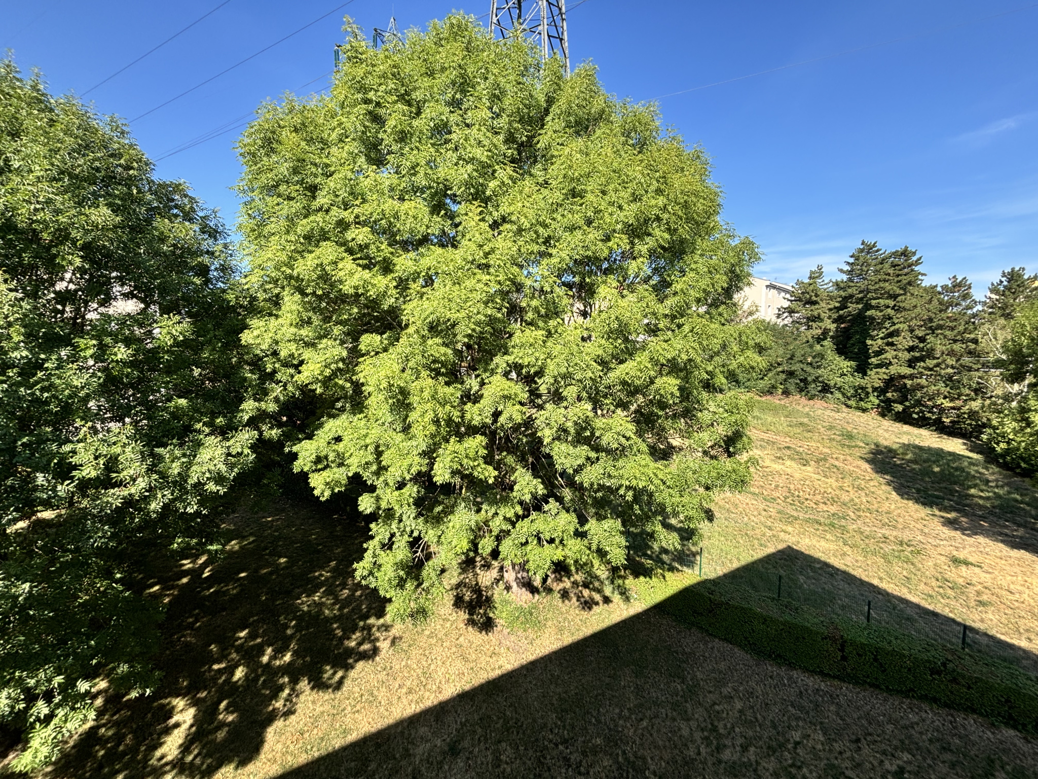 LOCATION - Appartement - Saint-Étienne (42000) - 680 €