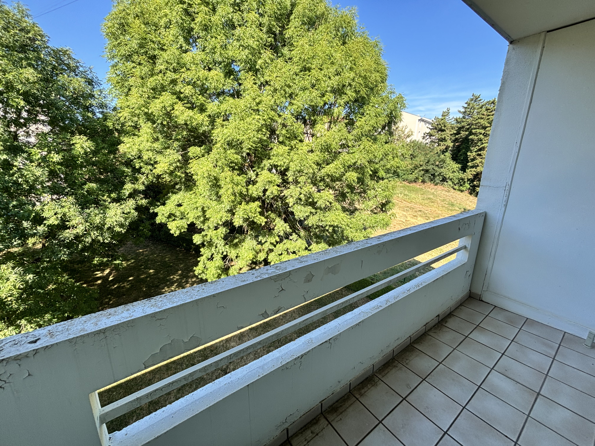 LOCATION - Appartement - Saint-Étienne (42000) - 680 €