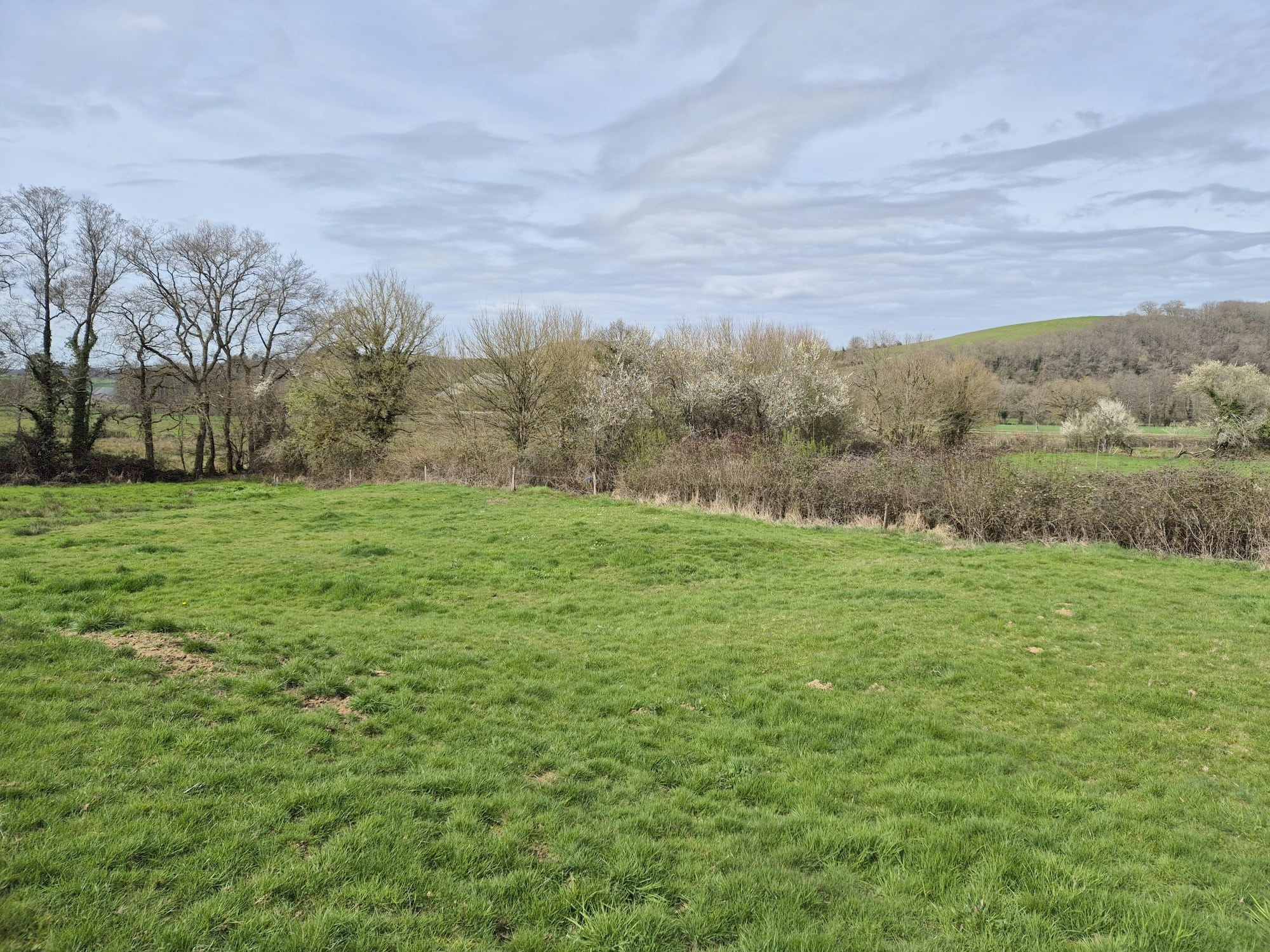 VENTE - Chateau - Fléty (58170) - 299000 €