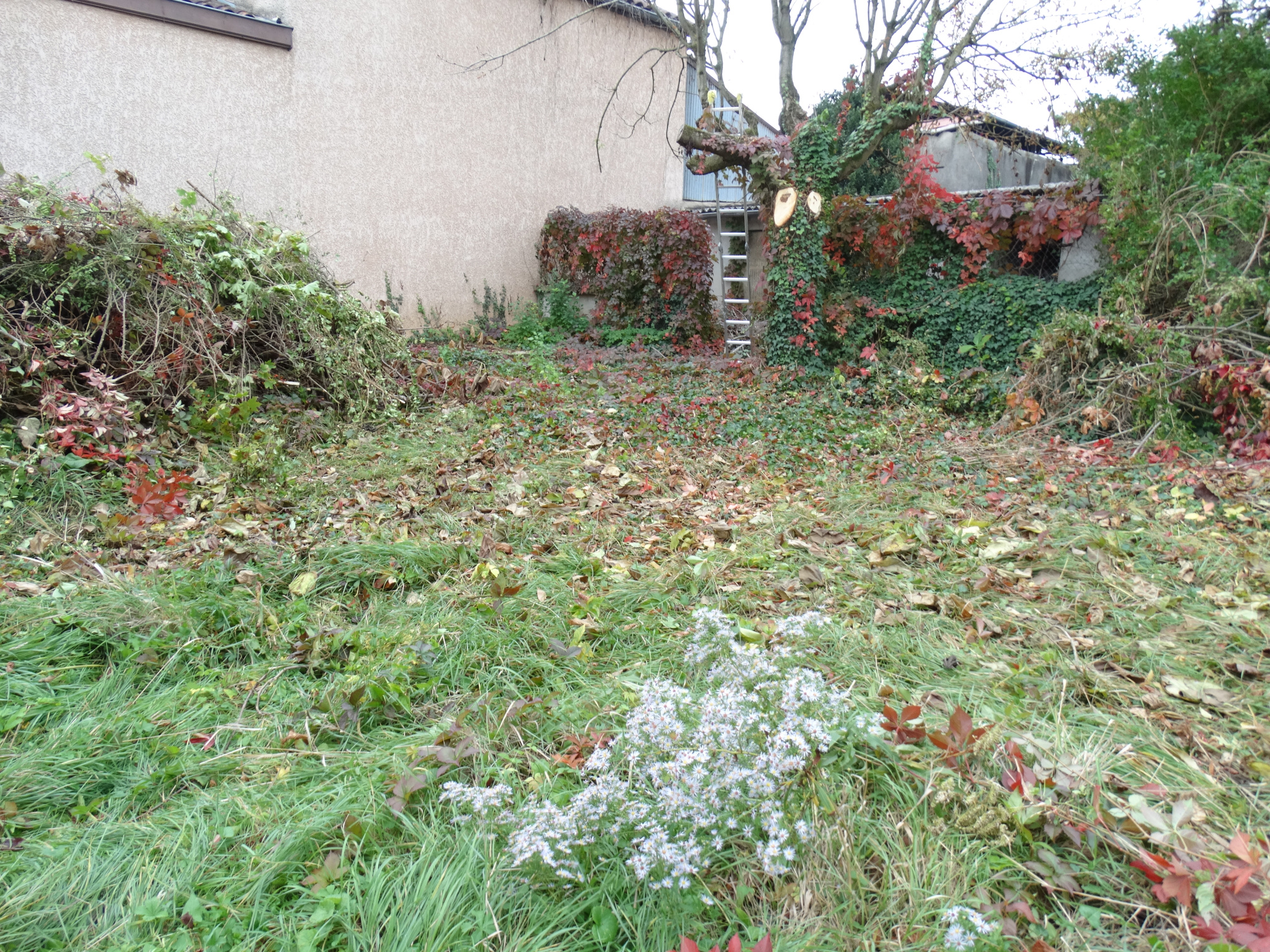 VENTE - Terrain - Simandres (69360) - 869000 €