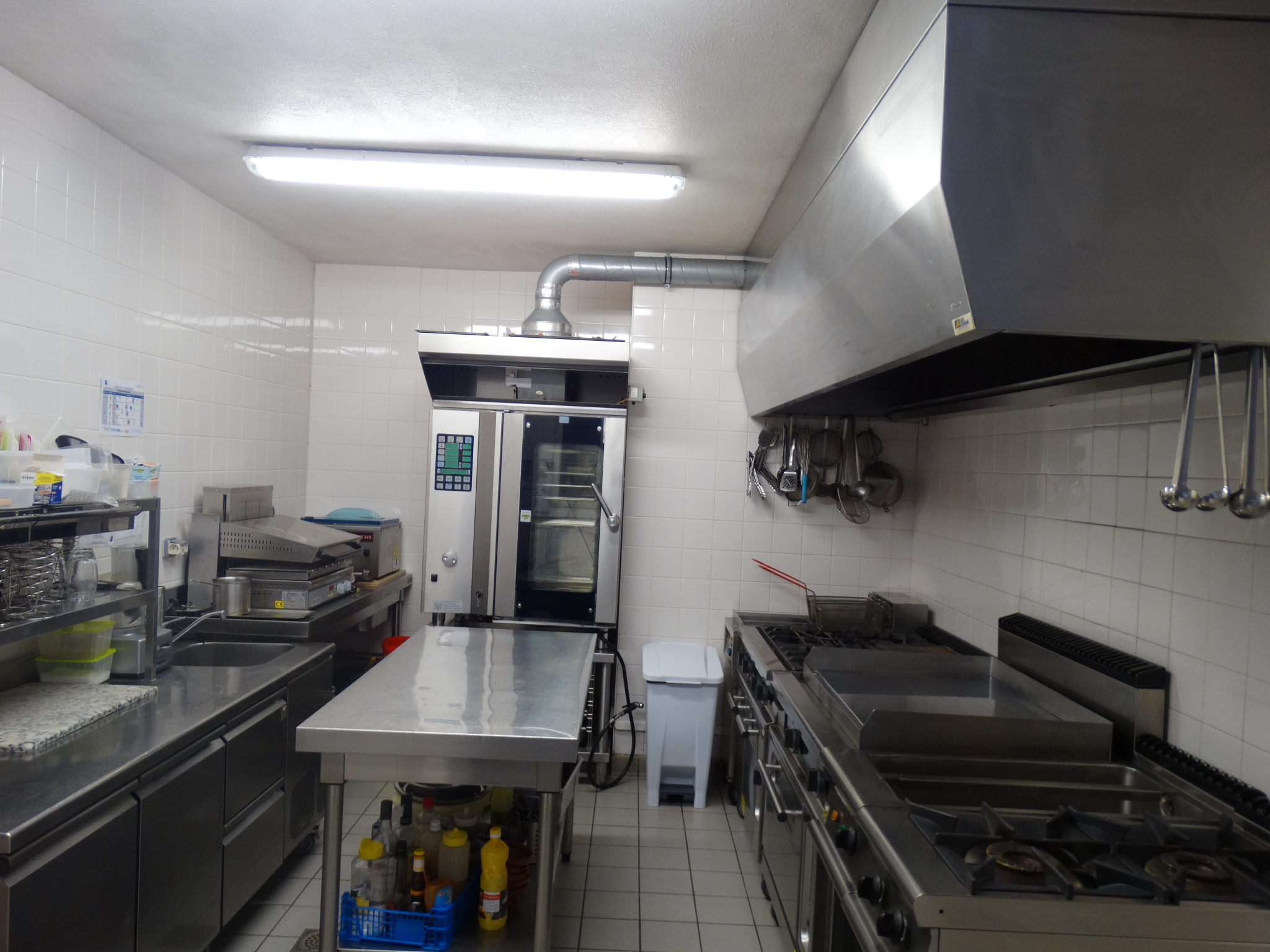 VENTE - Local - Thélis-la-Combe (42220) - 899000 €
