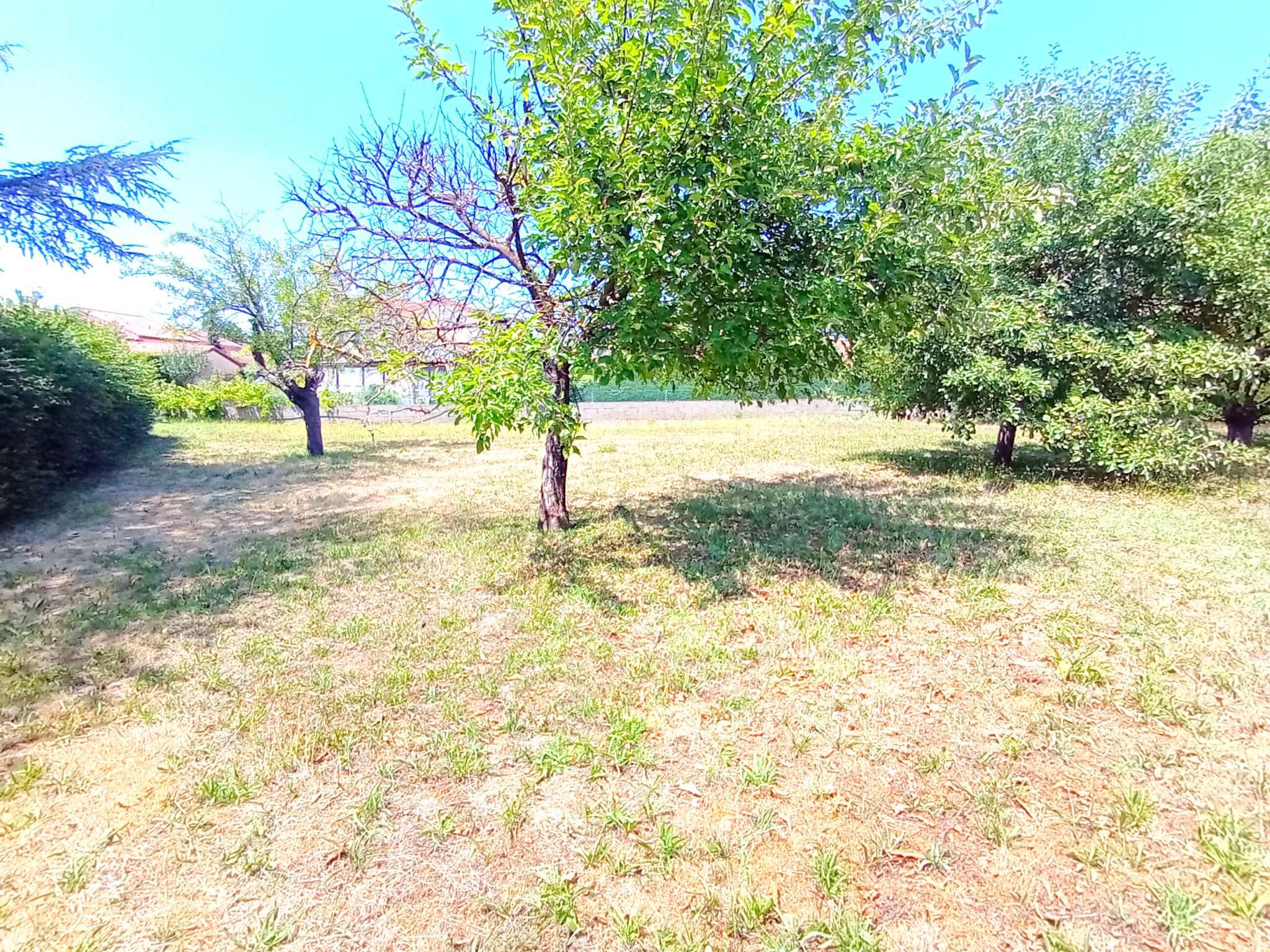 VENTE - Maison/villa - Saint-Galmier (42330) - 255000 €