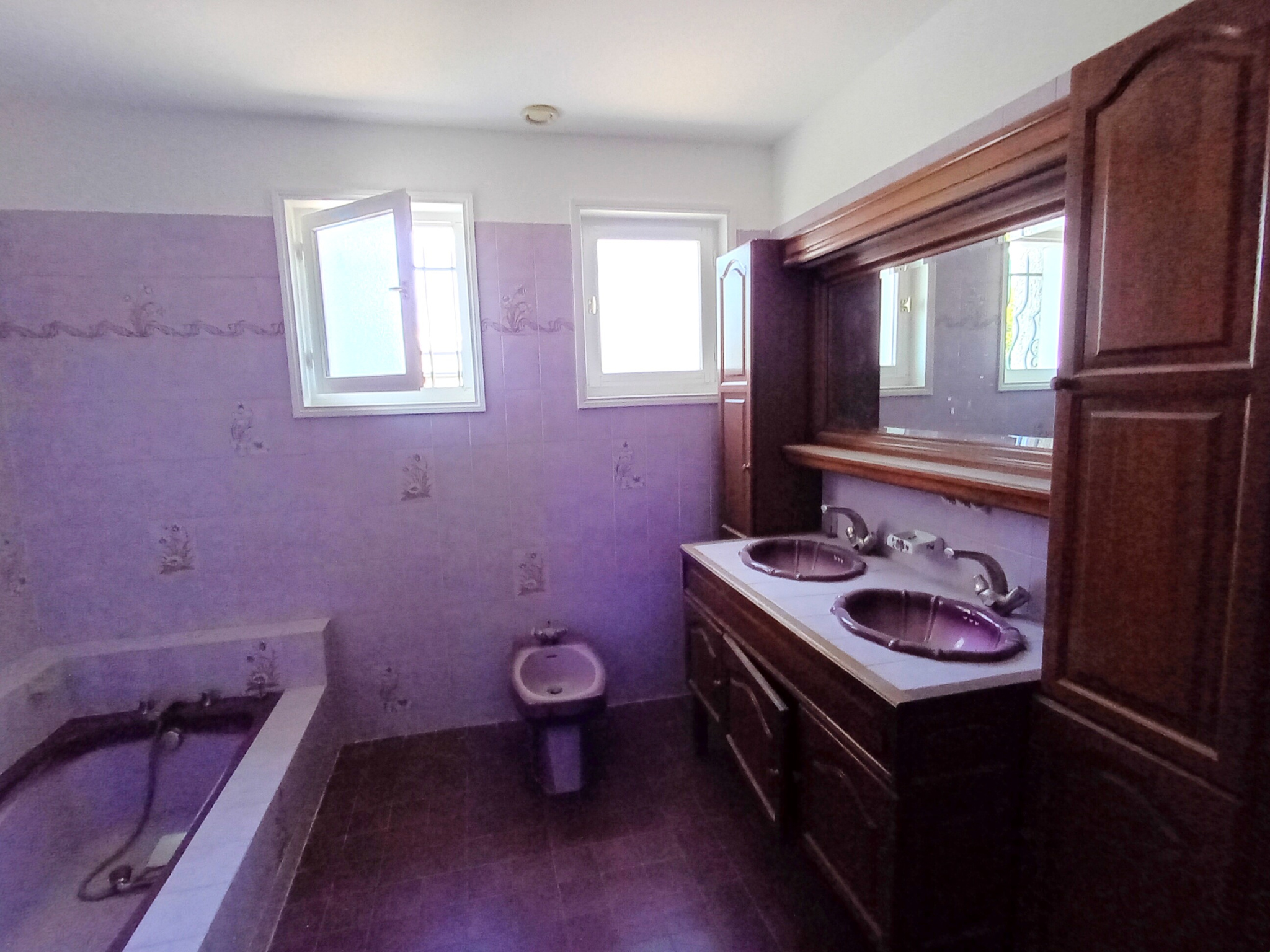 VENTE - Maison/villa - Veauche (42340) - 475000 €
