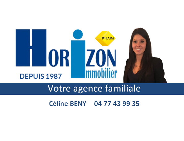 VENTE - Maison/villa - Veauche (42340) - 475000 €