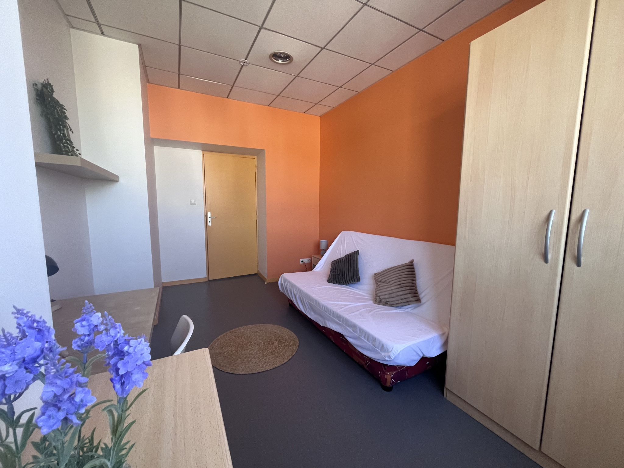 LOCATION - Appartement - Saint-Étienne (42100) - 440 €