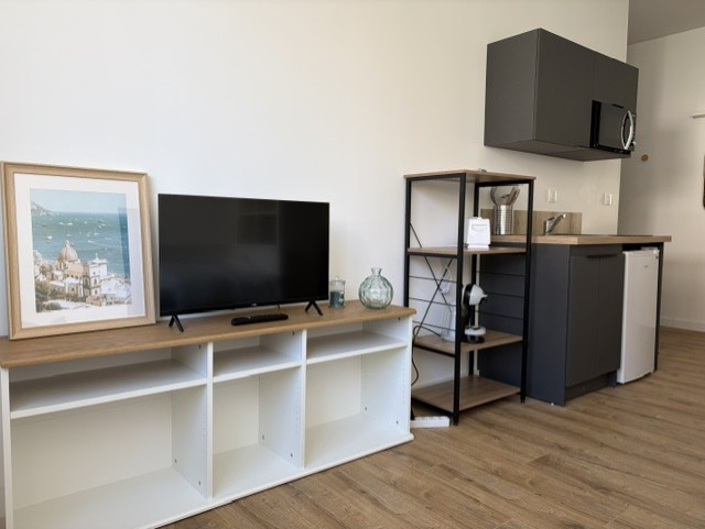 LOCATION - Appartement - Saint-Étienne (42100) - 420 €