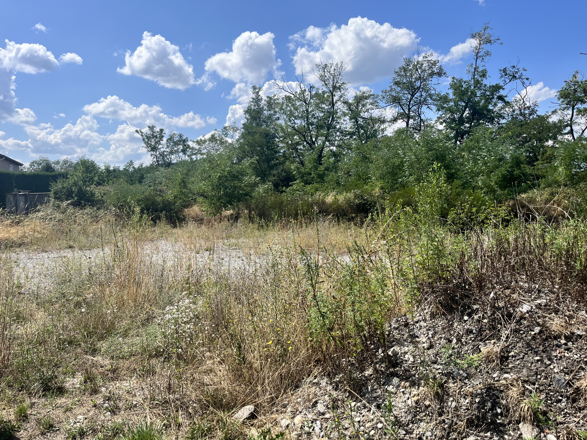 VENTE - Terrain - Roche-la-Molière (42230) - 294000 €
