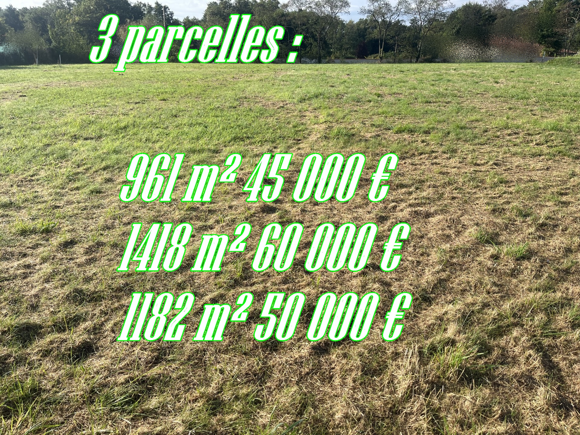 VENTE - Terrain - Arthun (42130) - 45000 €