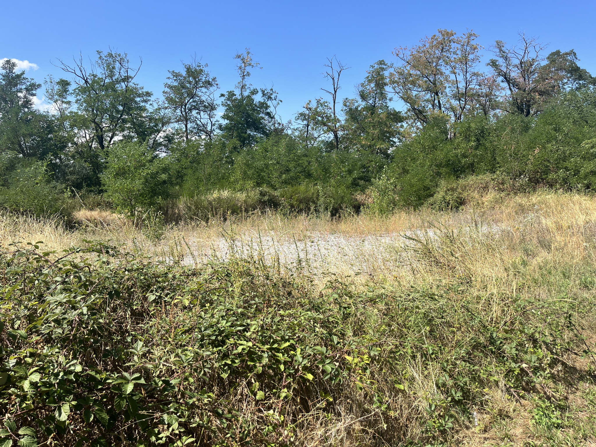 VENTE - Terrain - Roche-la-Molière (42230) - 294000 €