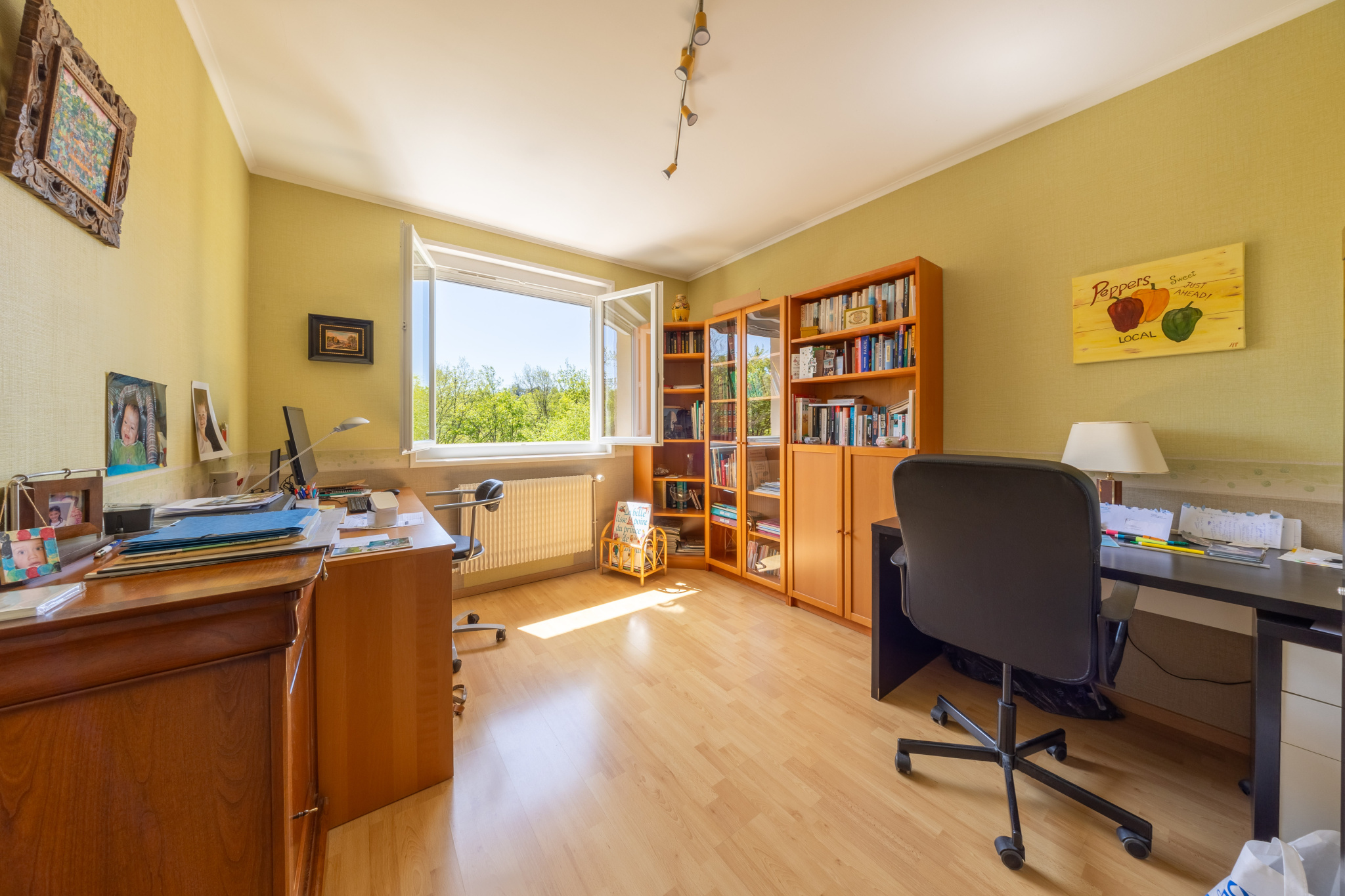VENTE - Maison/villa - Saint-Paul-en-Cornillon (42240) - 415000 €