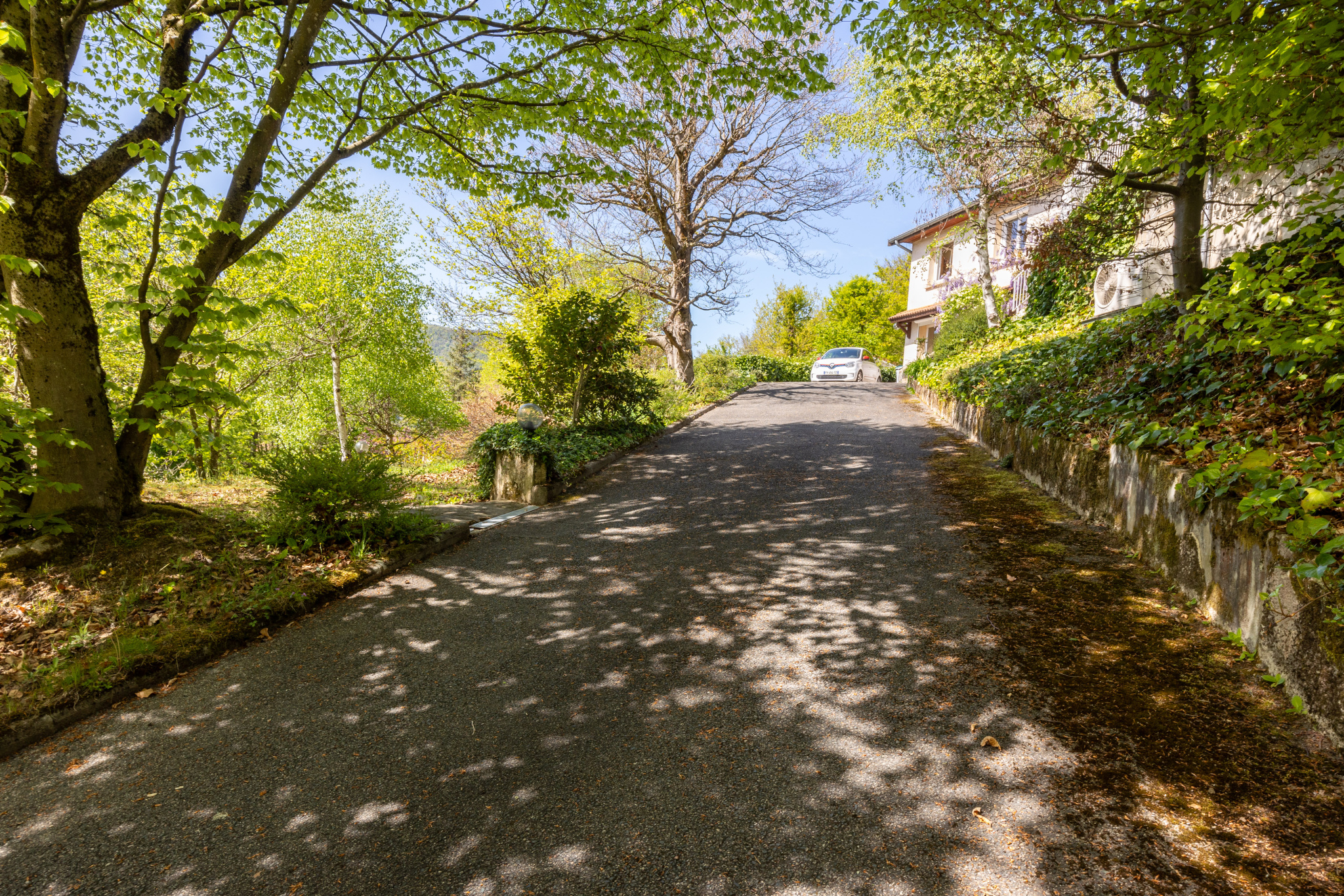VENTE - Maison/villa - Saint-Paul-en-Cornillon (42240) - 415000 €