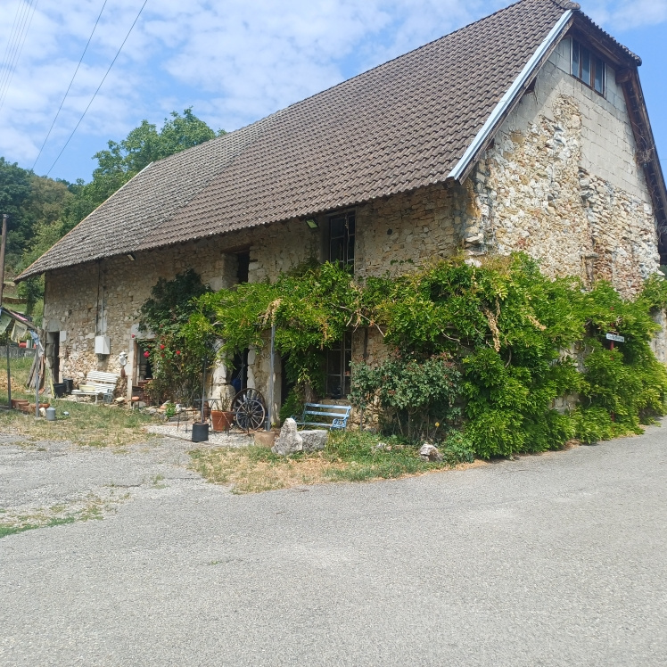 VENTE - Inconnu - Chanaz (73310) - 299000 €