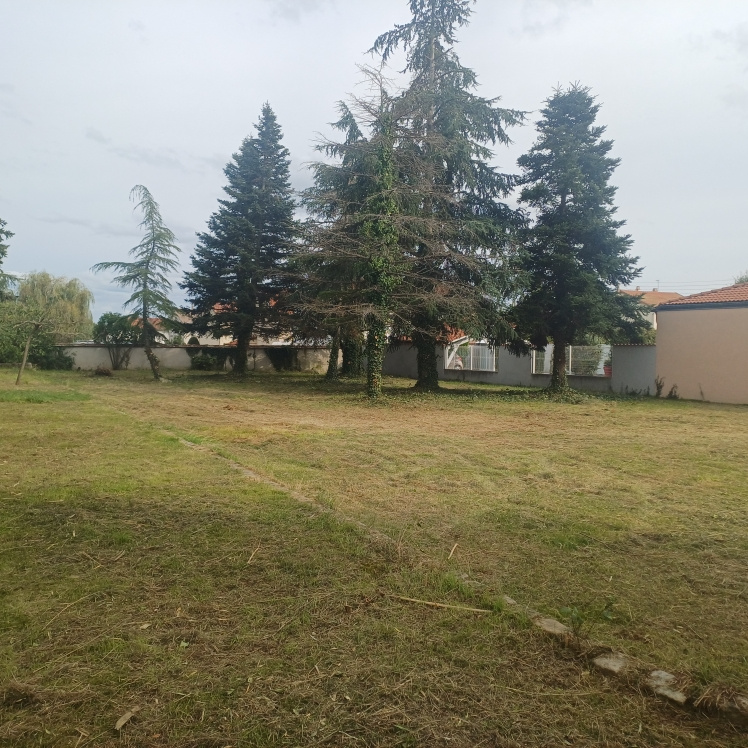 VENTE - Terrain - Savigneux (42600) - 148900 €