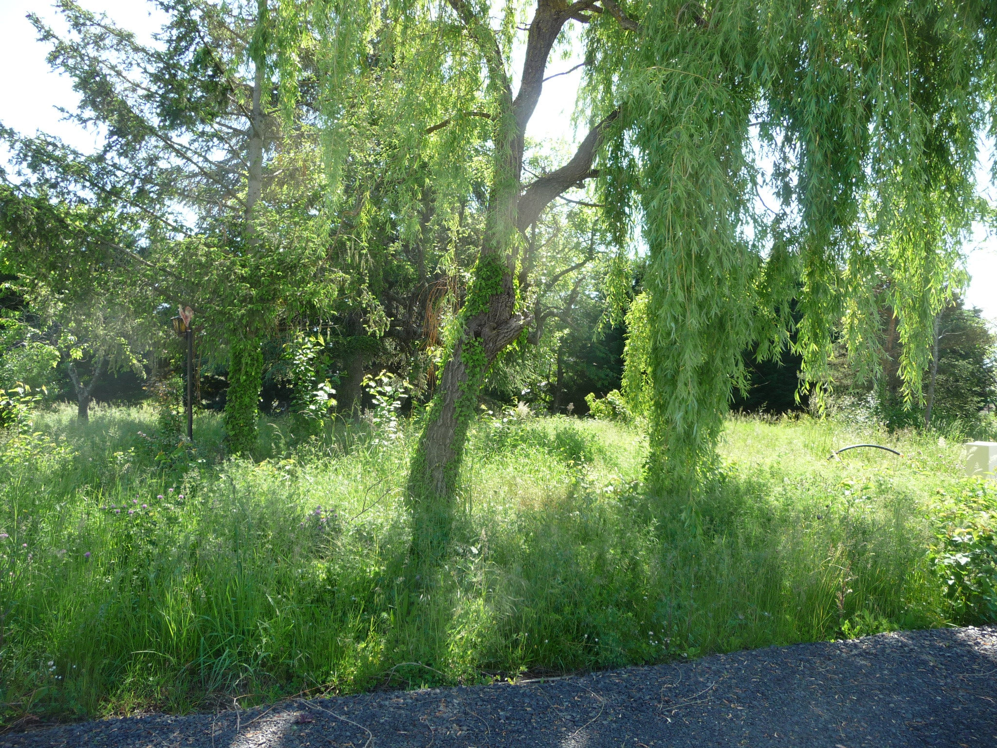 VENTE - Terrain - Savigneux (42600) - 129000 €