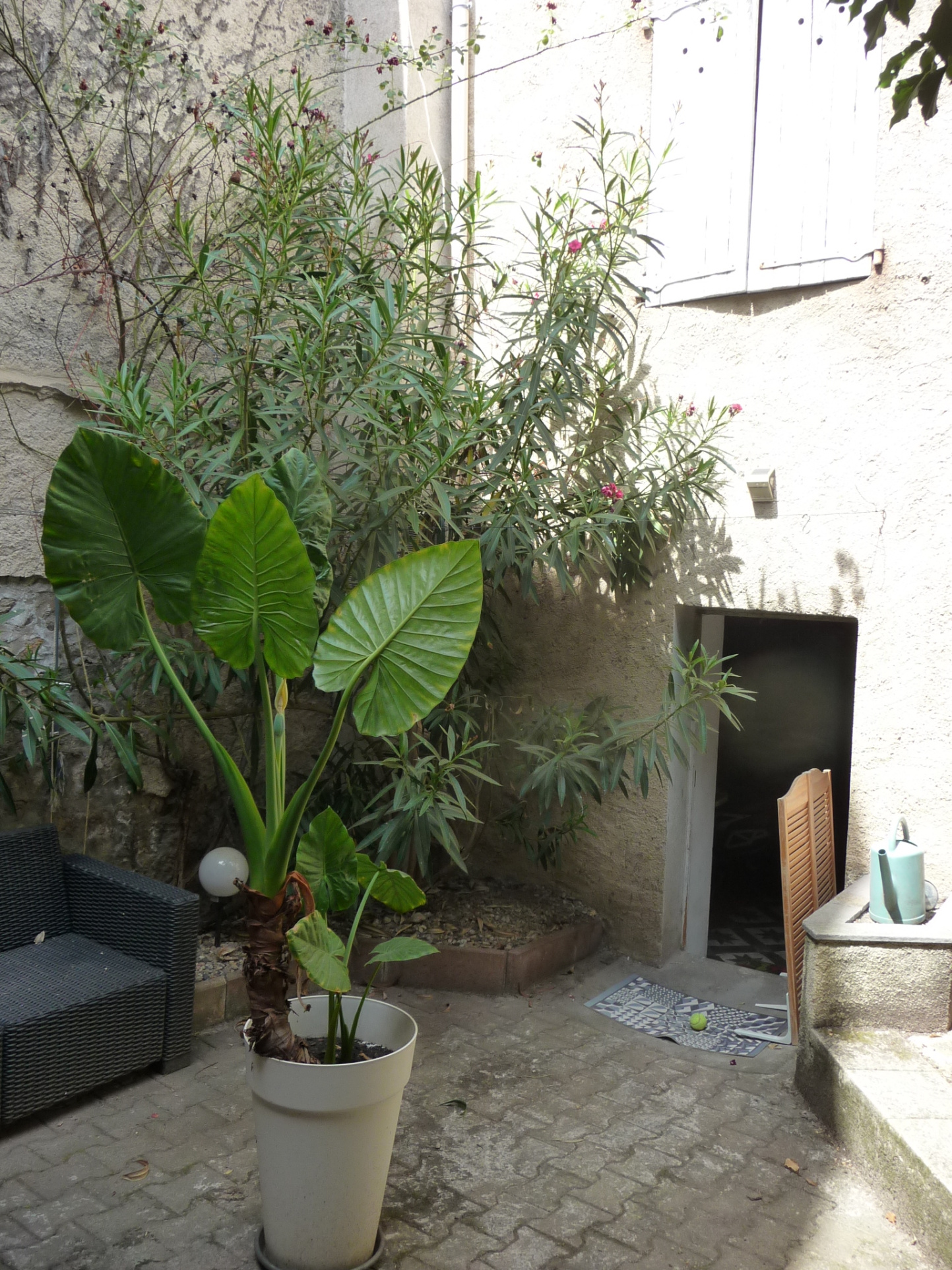 VENTE - Maison/villa - Montbrison (42600) - 199000 €