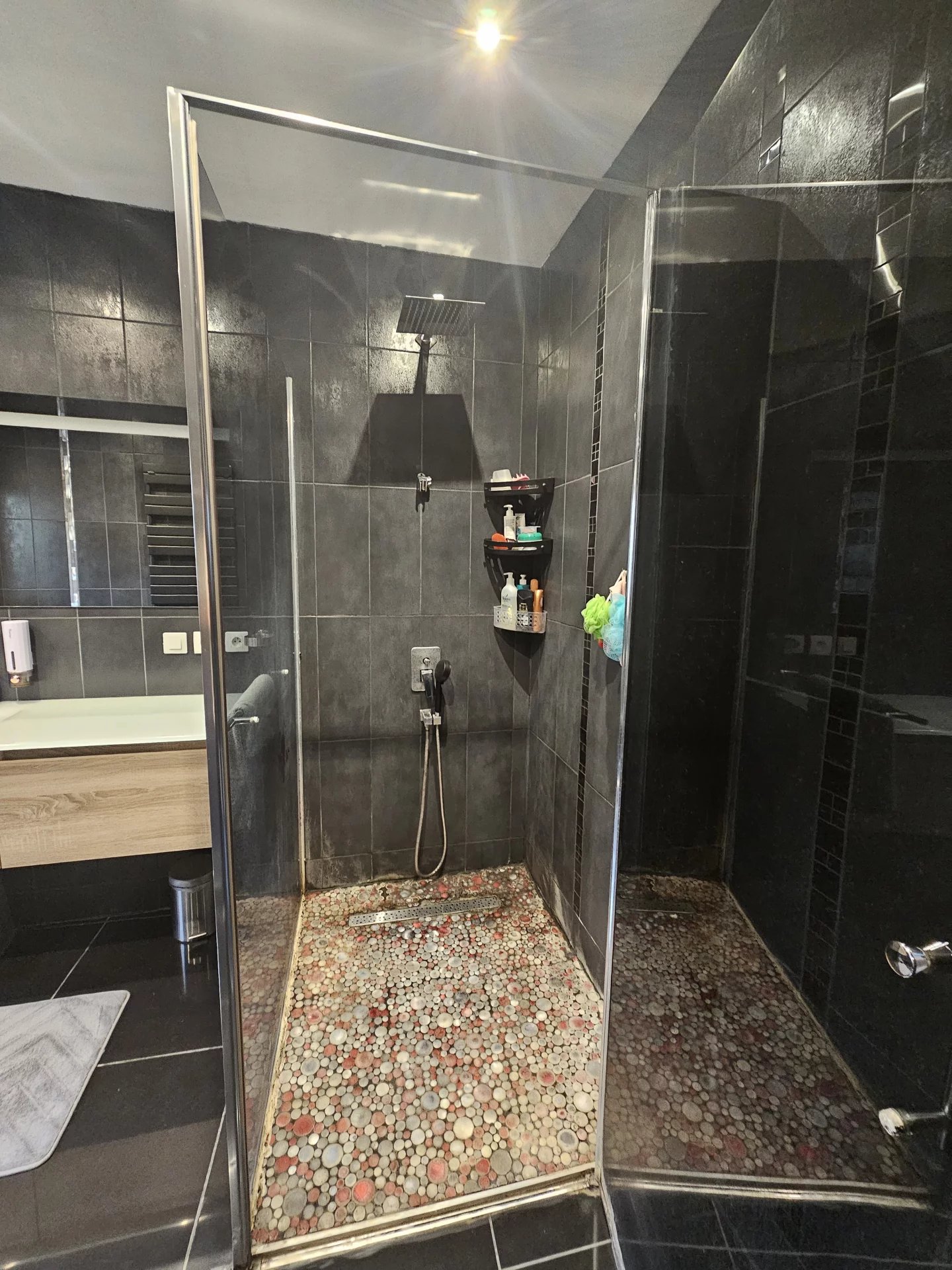 VENTE - Maison - Saint-Étienne (42000) - 248000 €