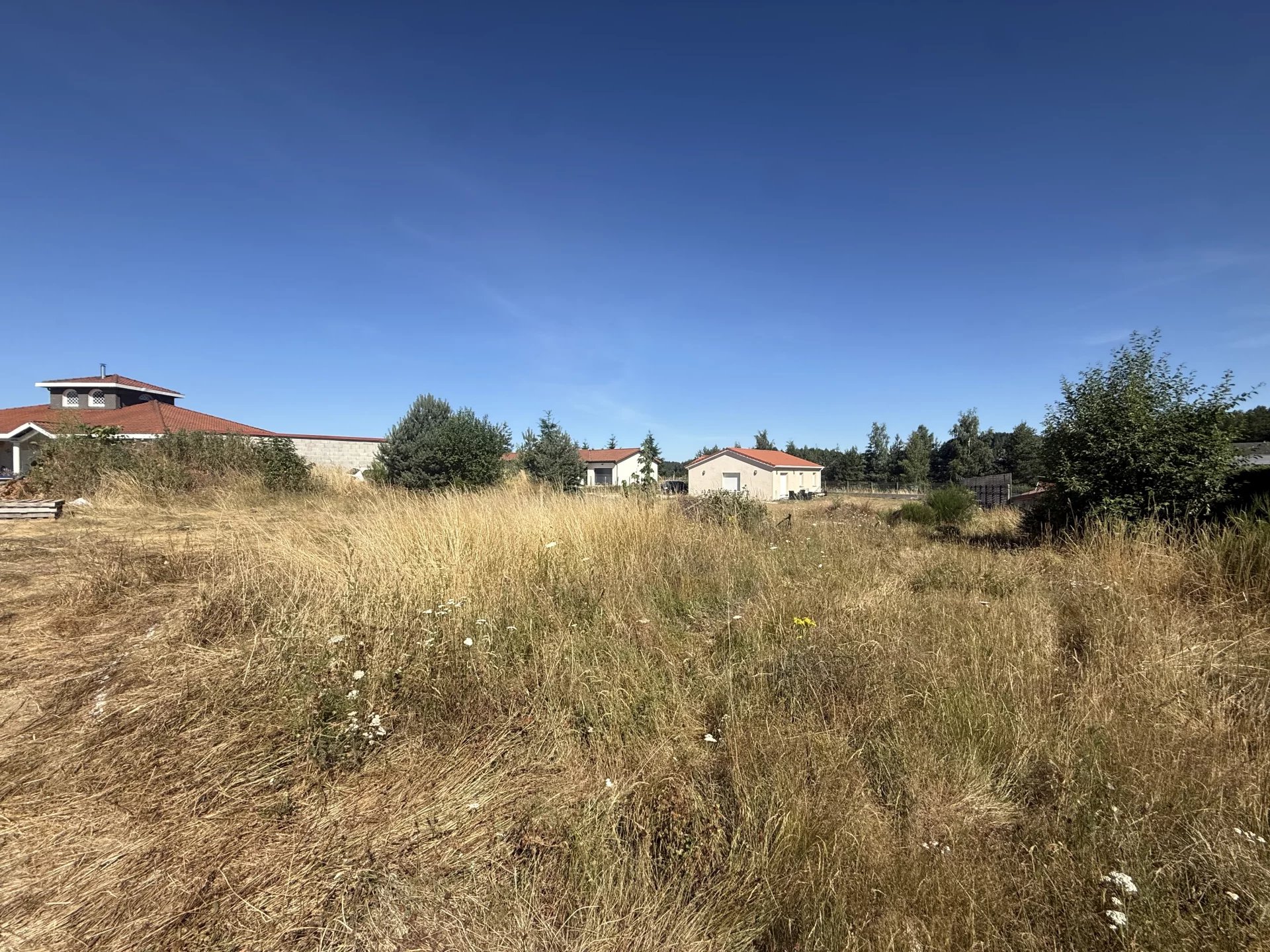 VENTE - Terrain - Saint-Pal-de-Mons (43620) - 65000 €