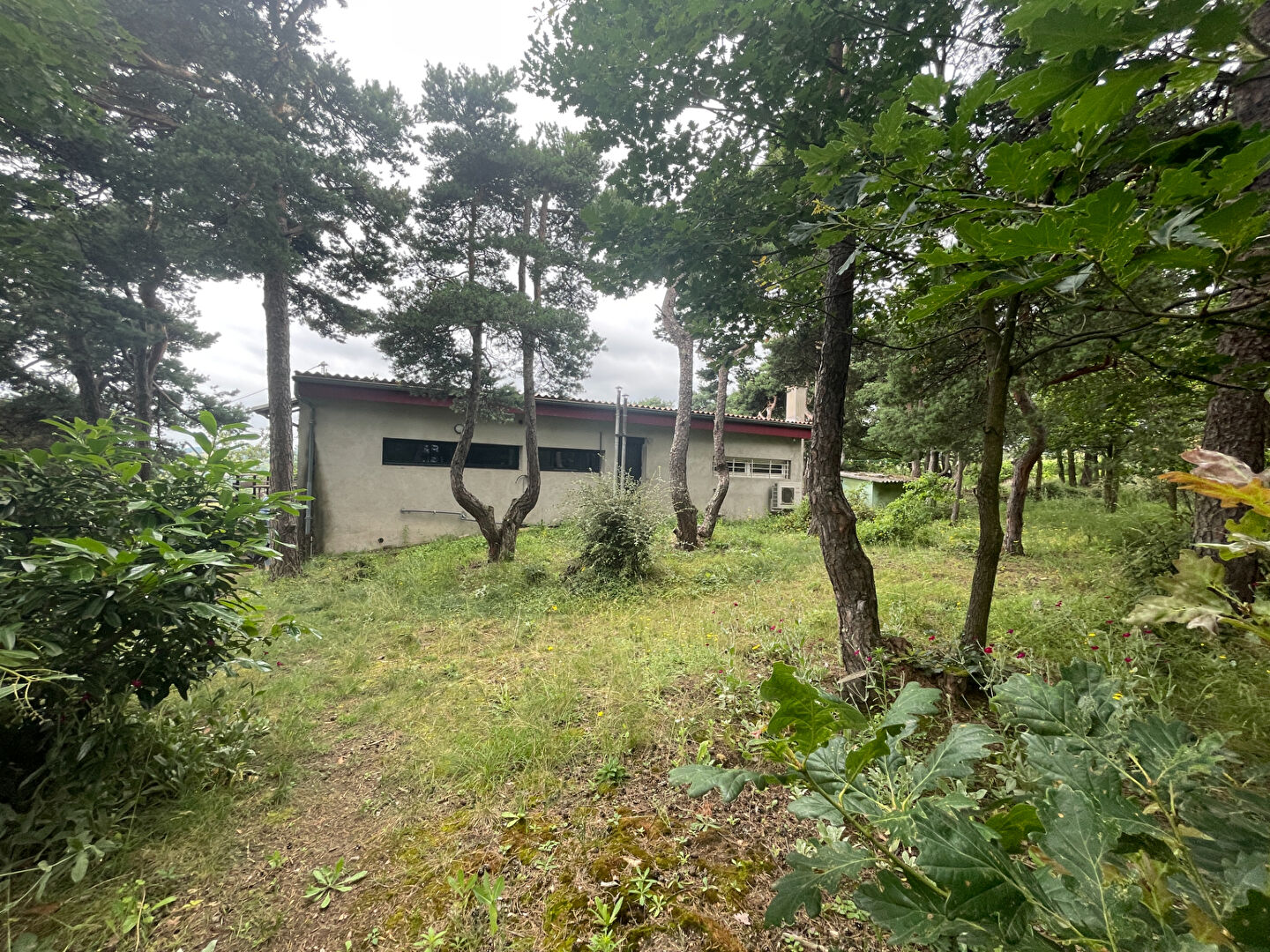 VENTE - Maison - BOISSET SAINT PRIEST (42560) - 209000 €