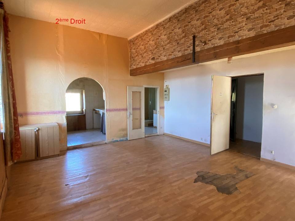 VENTE - Immeuble - SAINT DIDIER EN VELAY (43140) - 179000 €