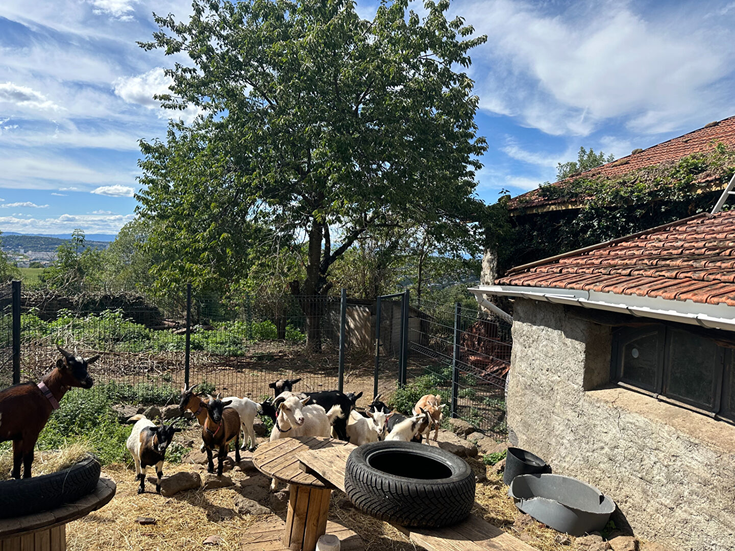 VENTE -  - SAINT JEAN BONNEFONDS (42650) - 158000 €