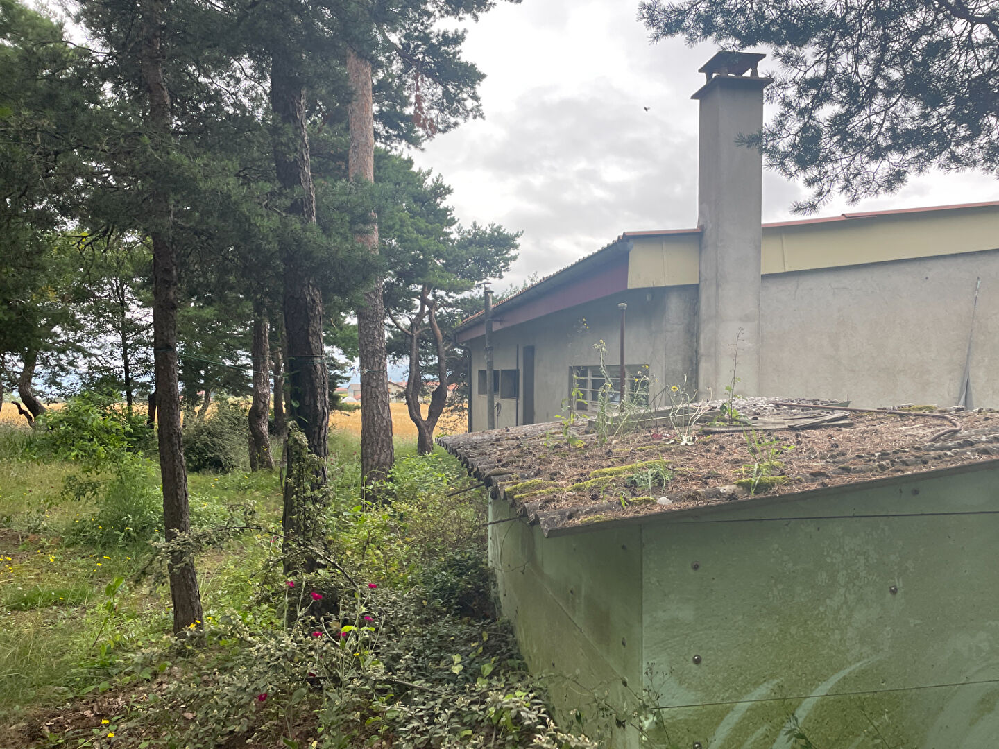VENTE - Maison - BOISSET SAINT PRIEST (42560) - 209000 €