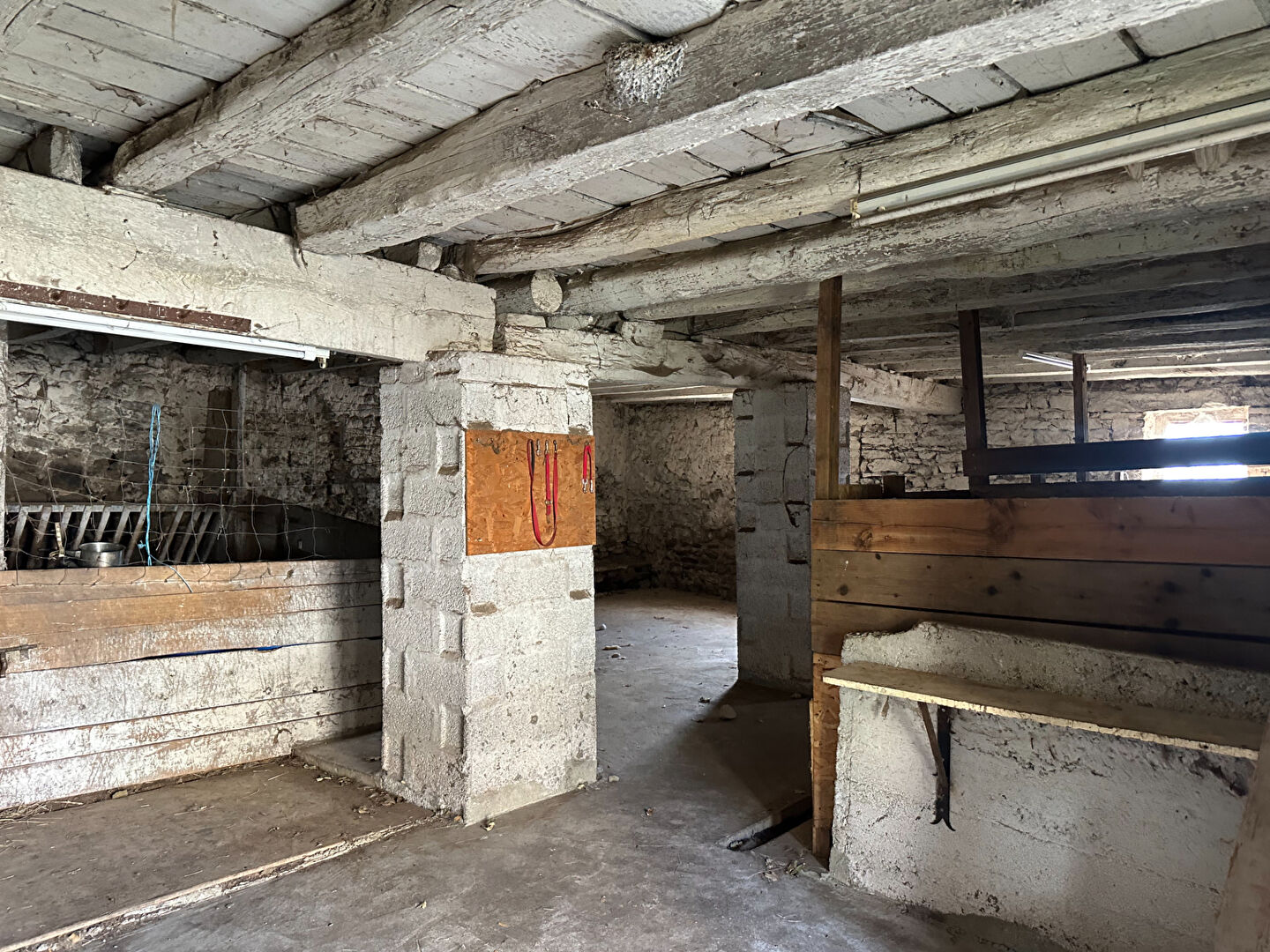 VENTE -  - SAINT JEAN BONNEFONDS (42650) - 158000 €