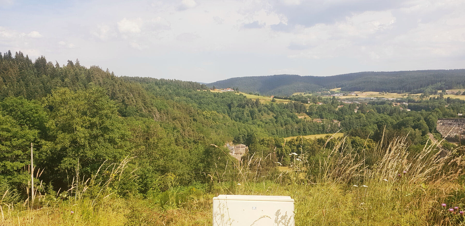 VENTE - Terrain - DUNIERES (43220) - 65000 €