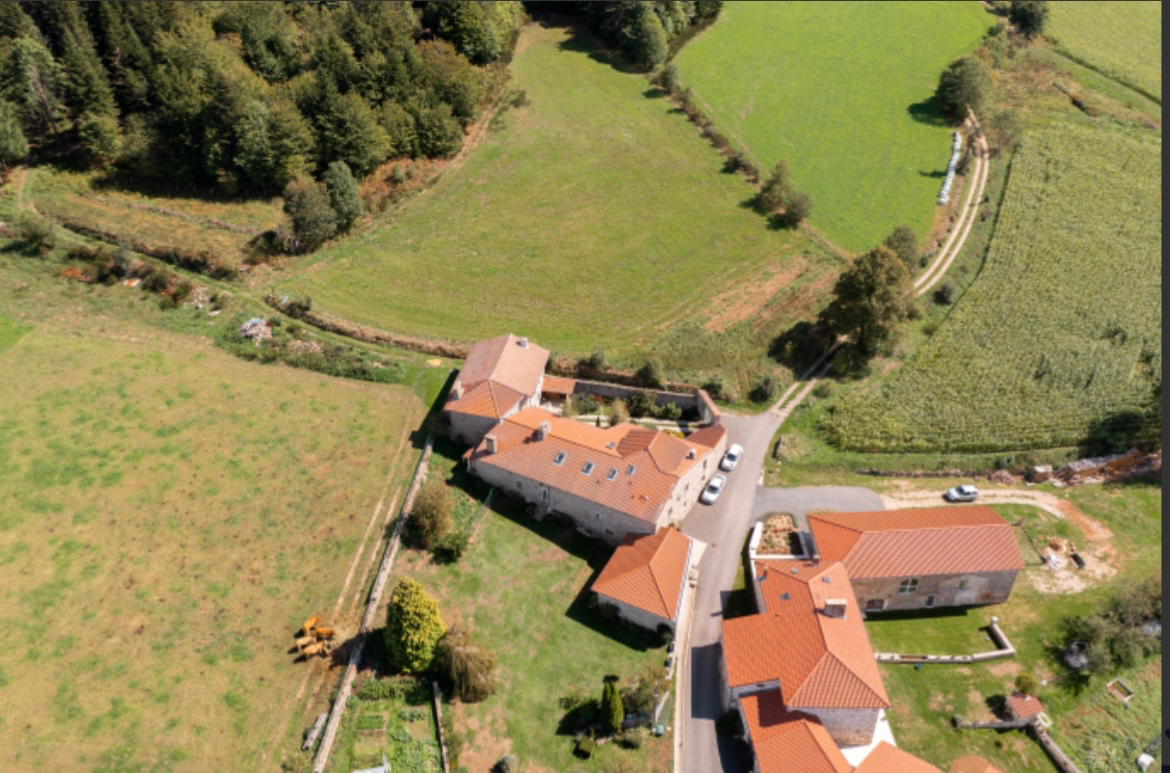 VENTE - Maison - SAINT ROMAIN LACHALM (43620) - 550000 €