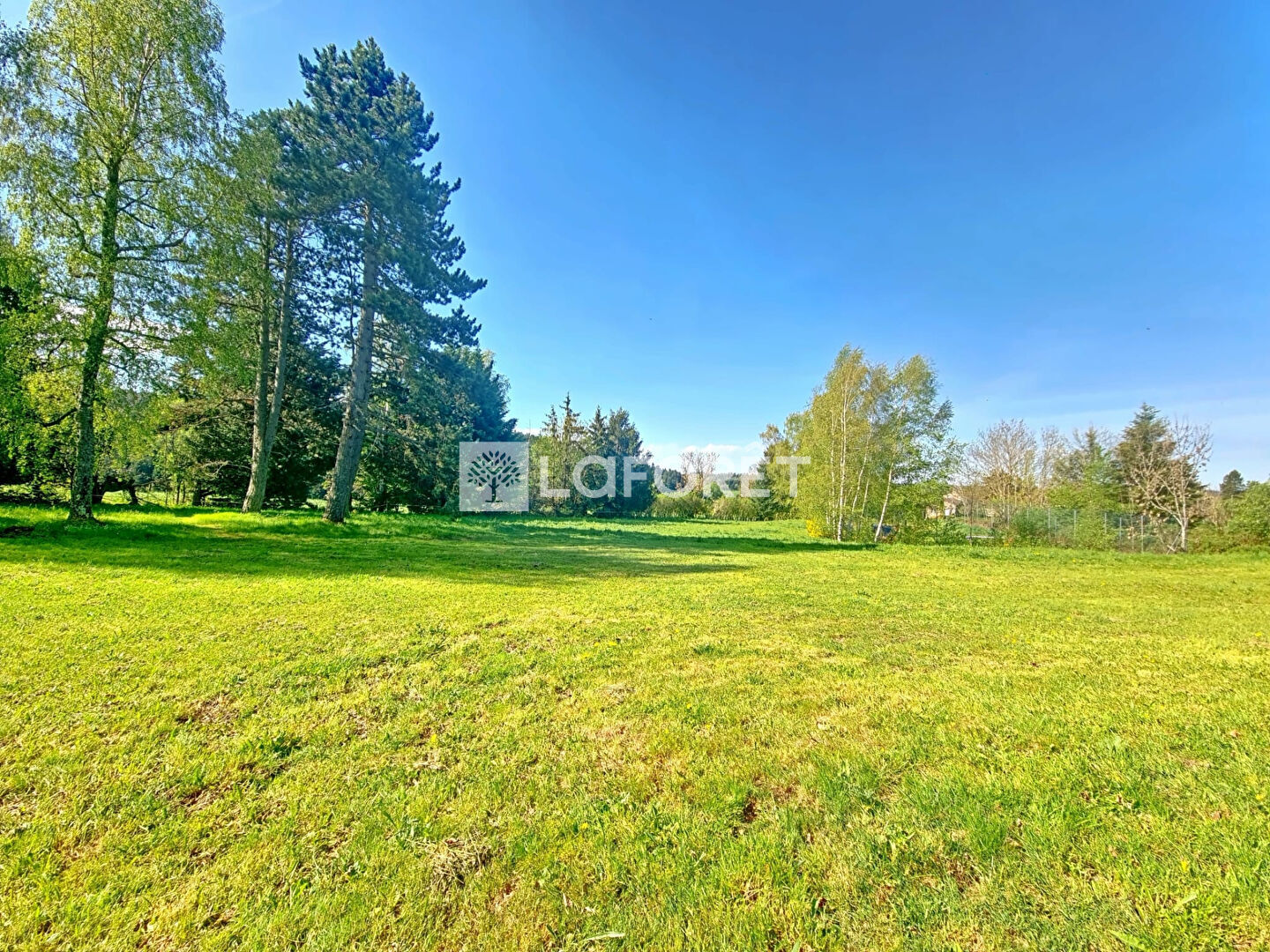 VENTE - Maison - SAINT ROMAIN LACHALM (43620) - 520000 €