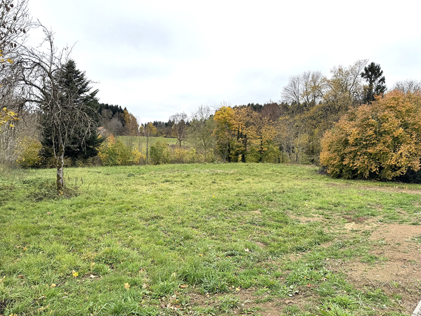 VENTE - Maison - RAUCOULES (43290) - 197000 €
