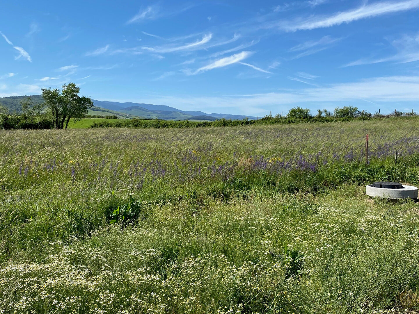 VENTE - Terrain - TARTARAS (42800) - 155000 €