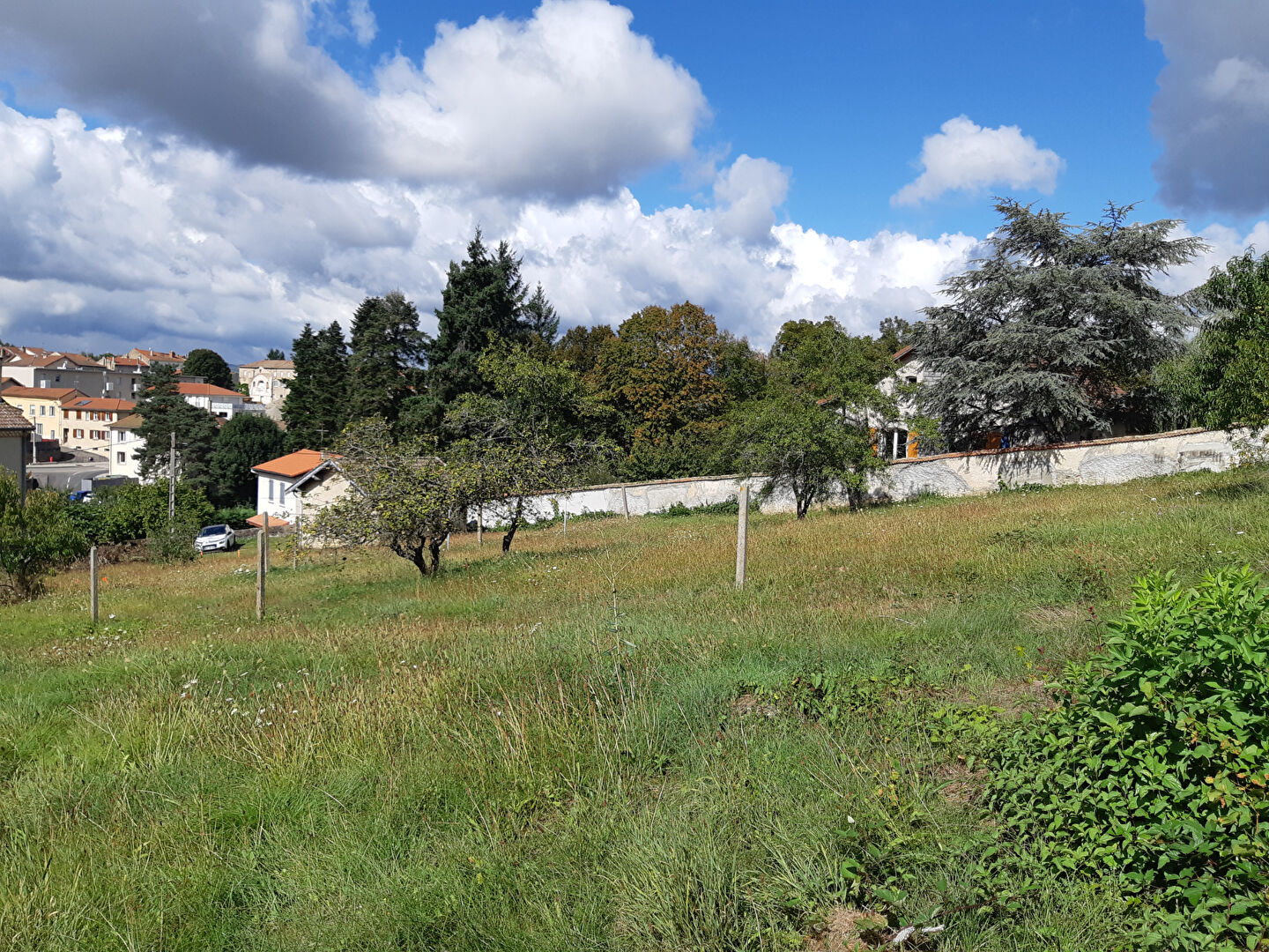 VENTE - Terrain - MONISTROL SUR LOIRE (43120) - 55000 €
