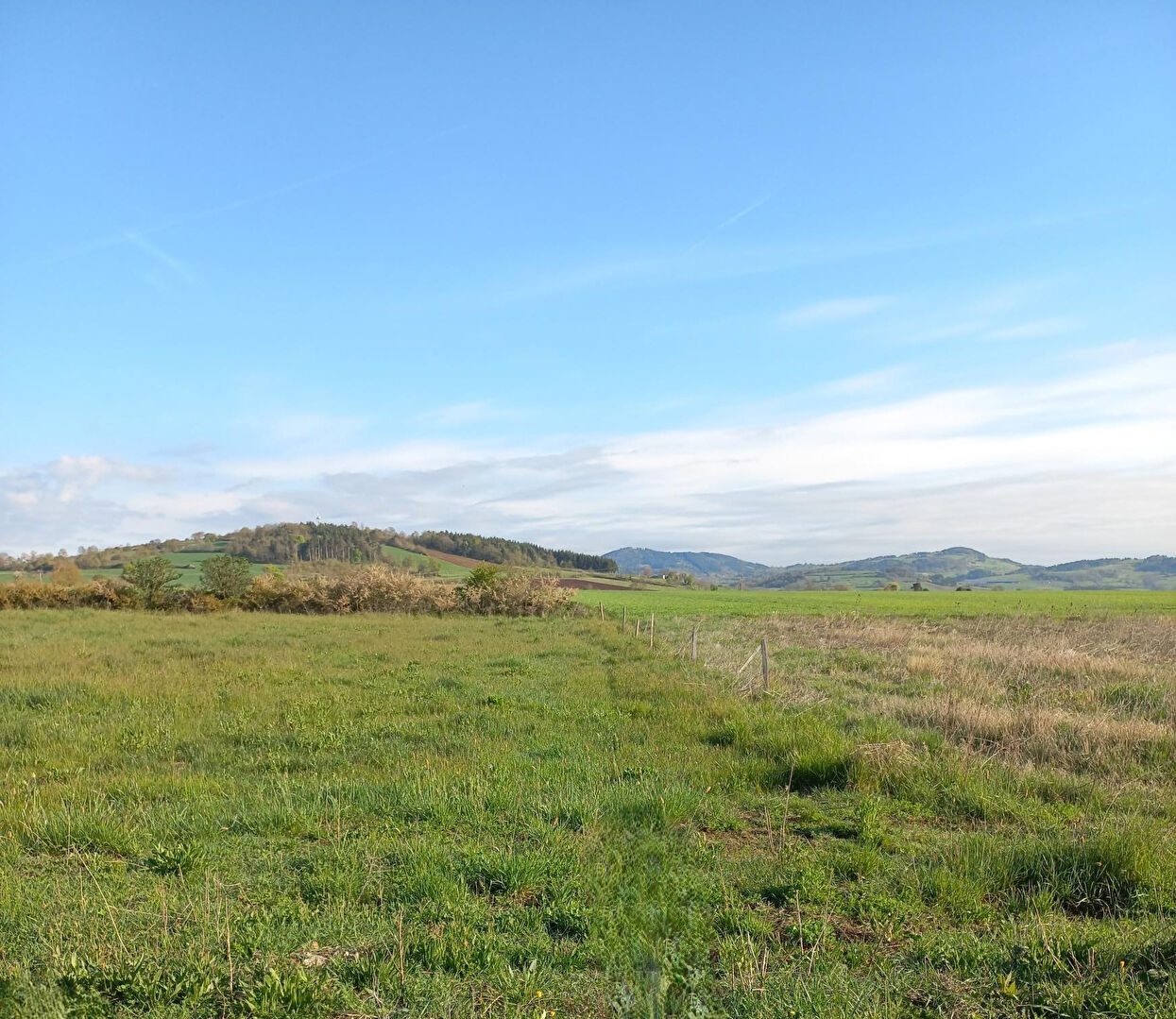 VENTE - Maison - SAINT PAULIEN (43350) - 223330 €