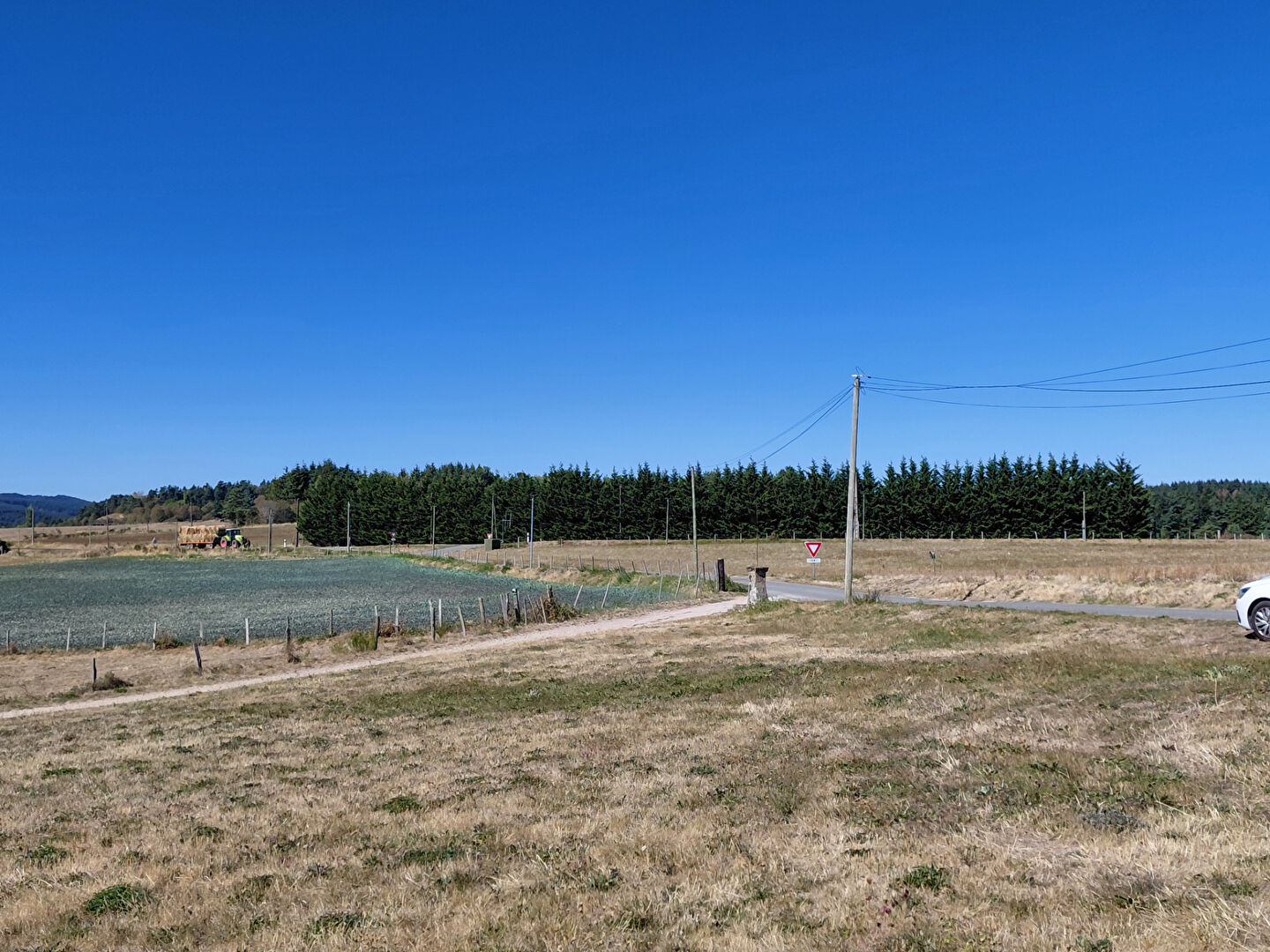VENTE - Terrain - ROZIER COTES D AUREC (42380) - 59000 €