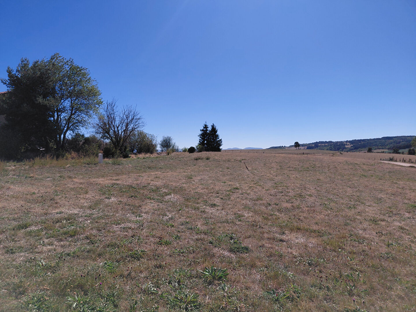 VENTE - Terrain - ROZIER COTES D AUREC (42380) - 59000 €