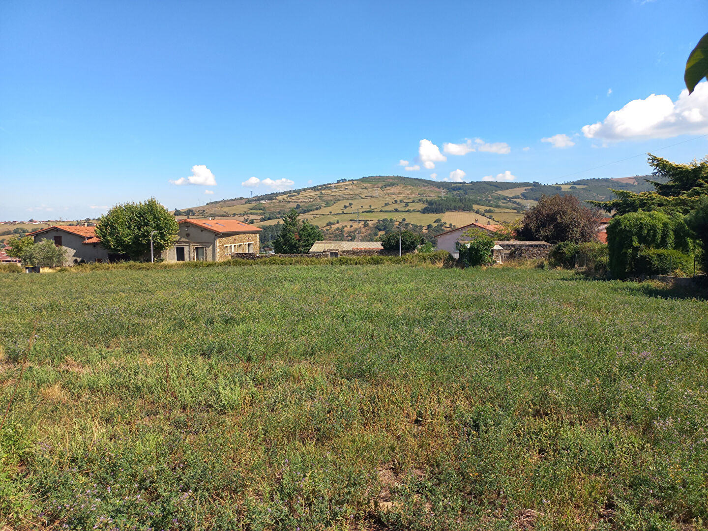 VENTE - Maison - CHATEAUNEUF (42800) - 360000 €