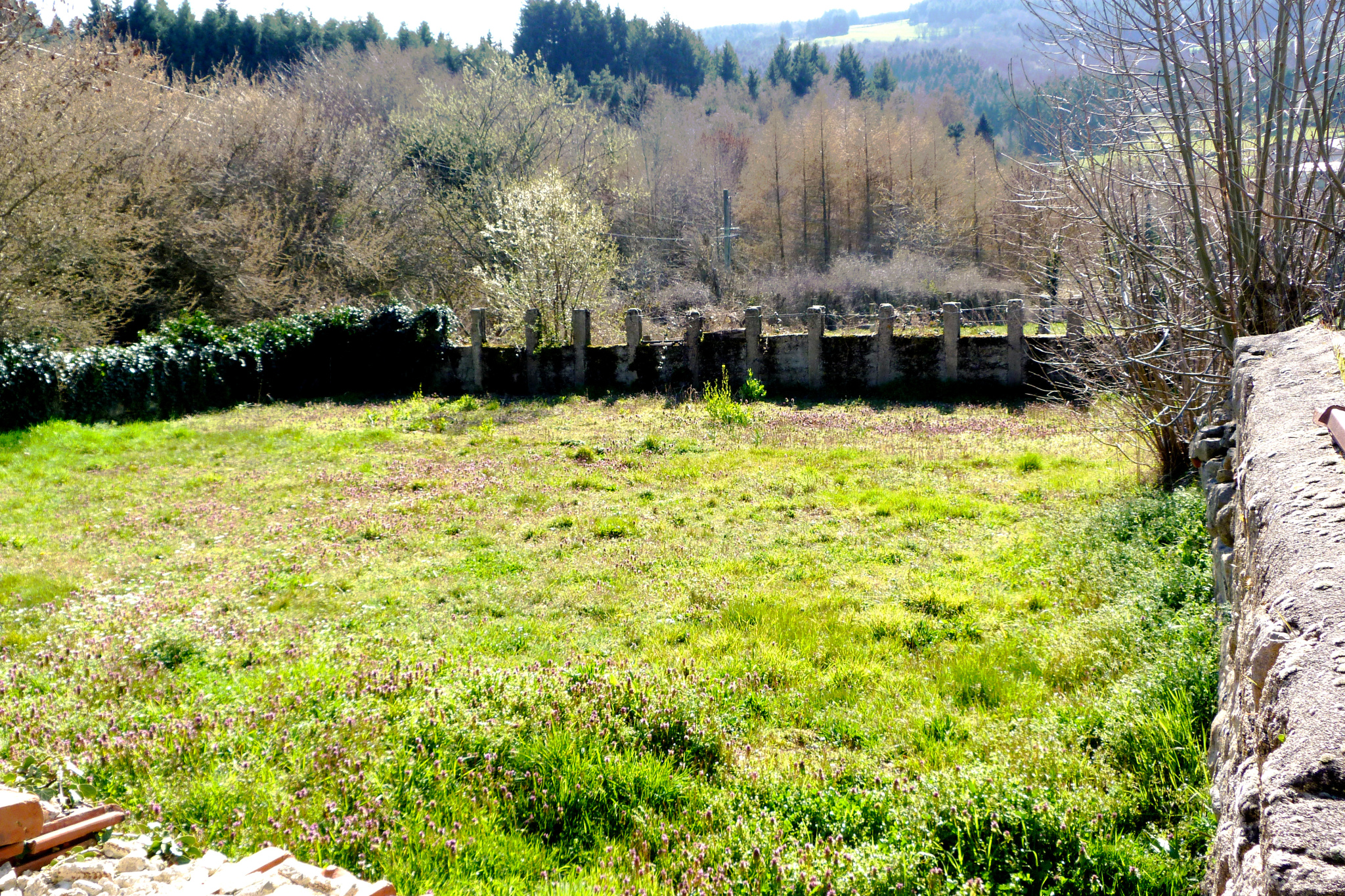 VENTE - Maison/villa - Saint-Nizier-de-Fornas (42380) - 240000 €