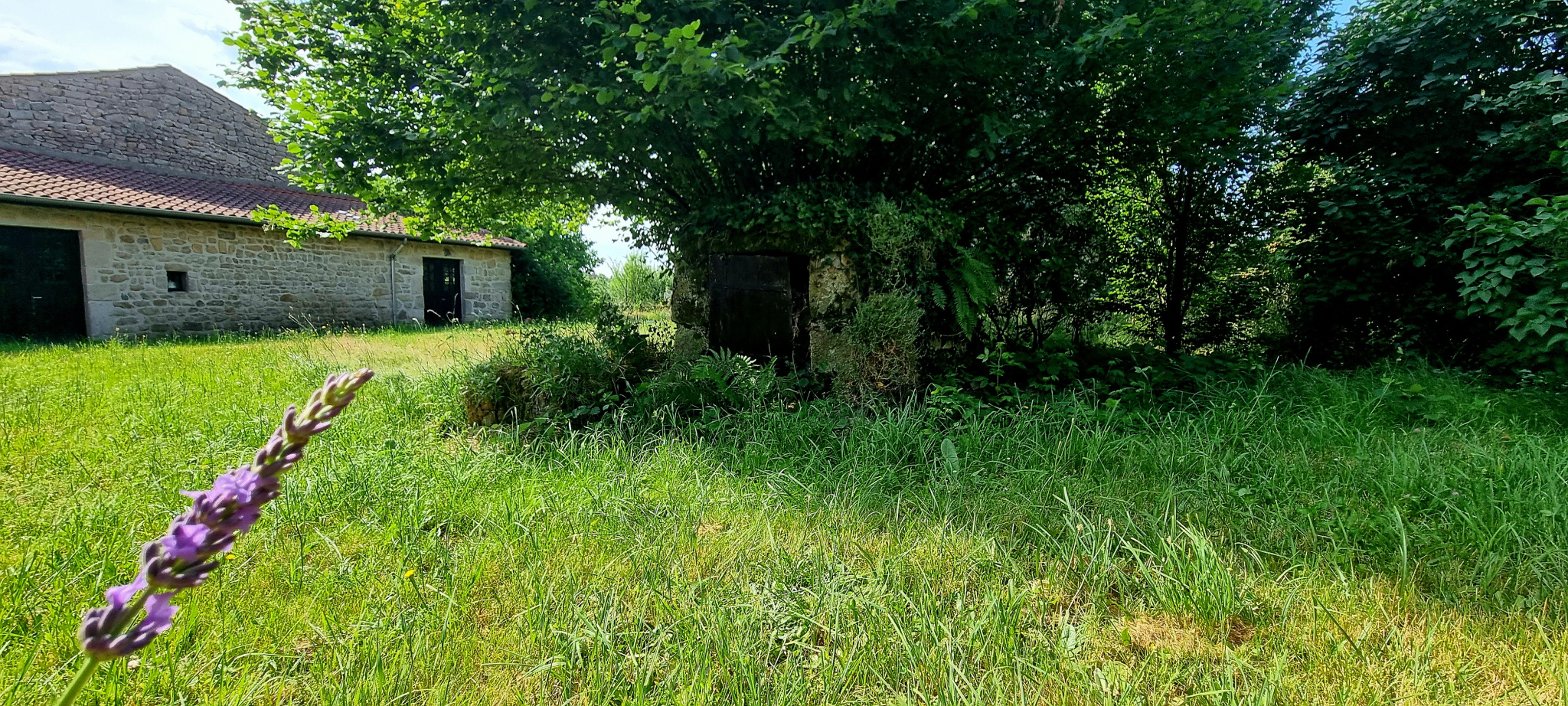 VENTE - Maison/villa - Périgneux (42380) - 260000 €
