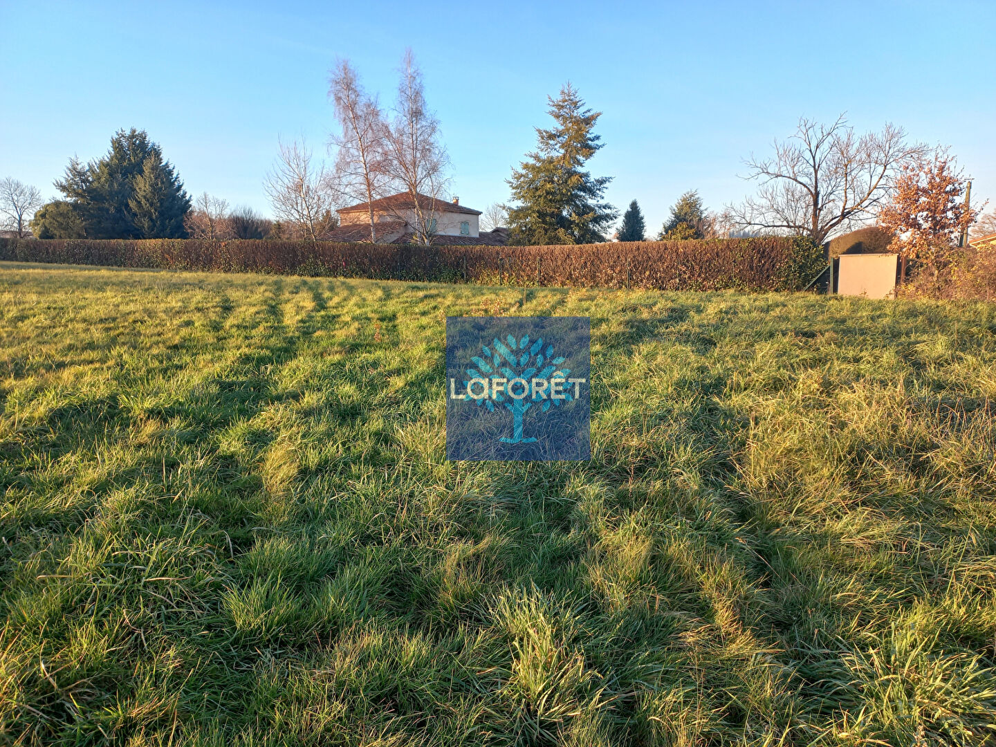 VENTE - Terrain - BUSSY ALBIEUX (42260) - 30000 €