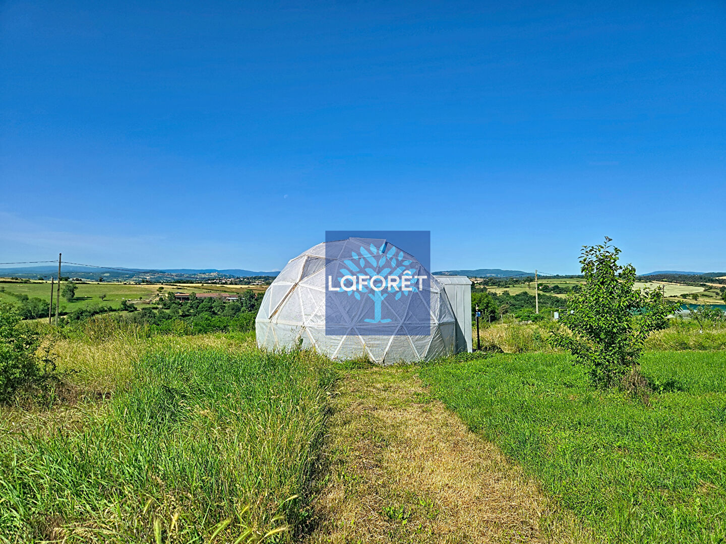 VENTE - Local - SOUTERNON (42260) - 750000 €