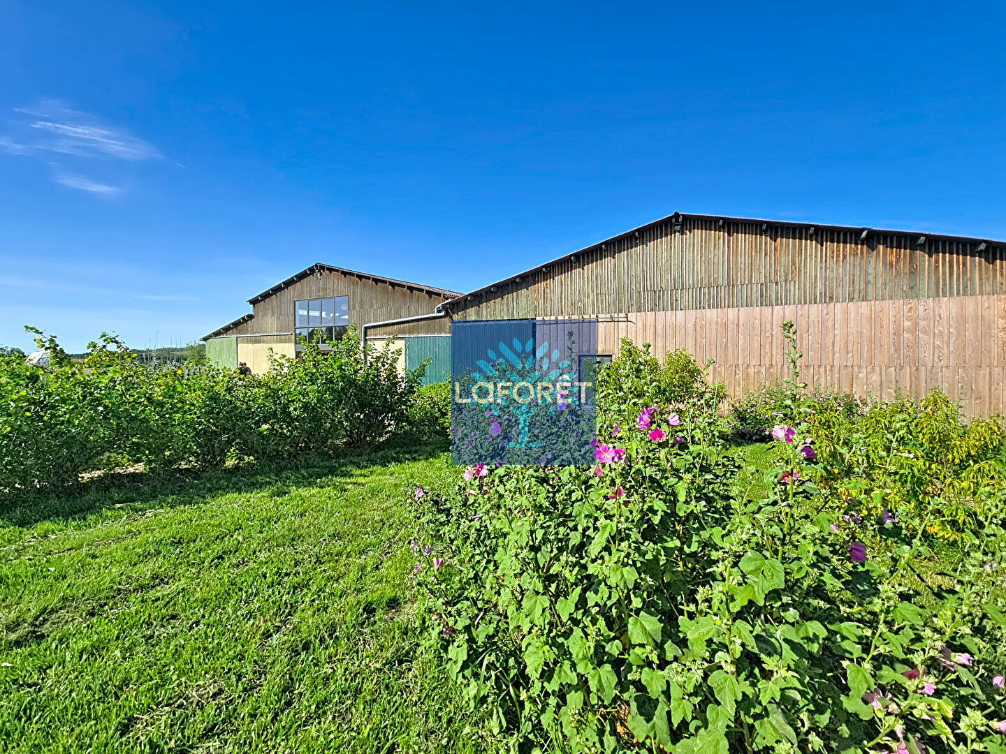 VENTE - Local - SOUTERNON (42260) - 750000 €