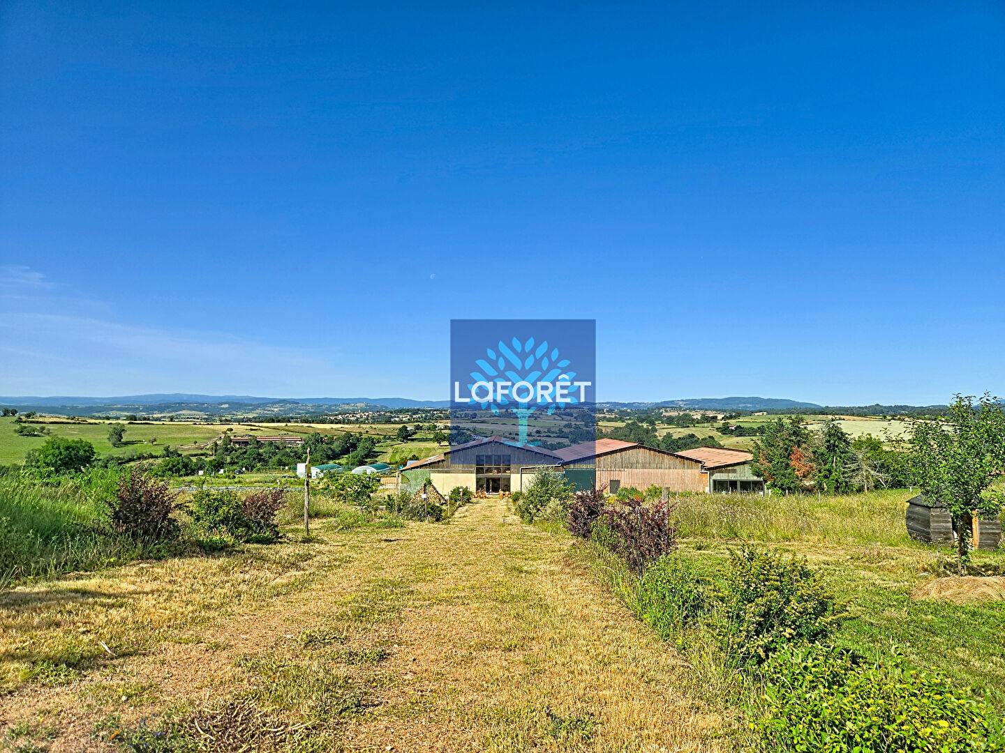 VENTE - Local - SOUTERNON (42260) - 750000 €