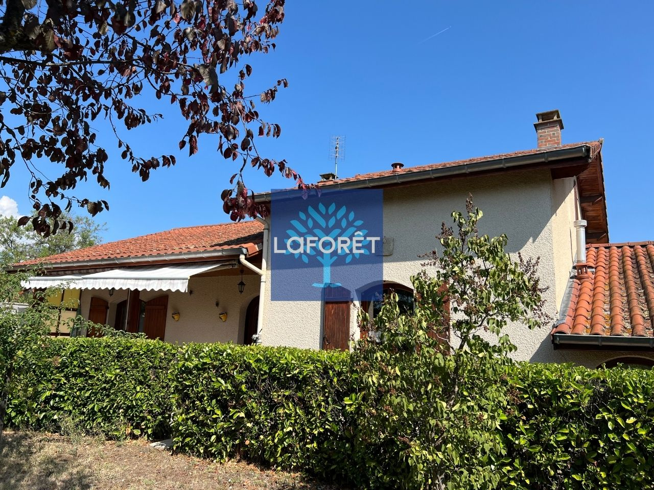 VENTE - Maison - CHAMPDIEU (42600) - 229000 €