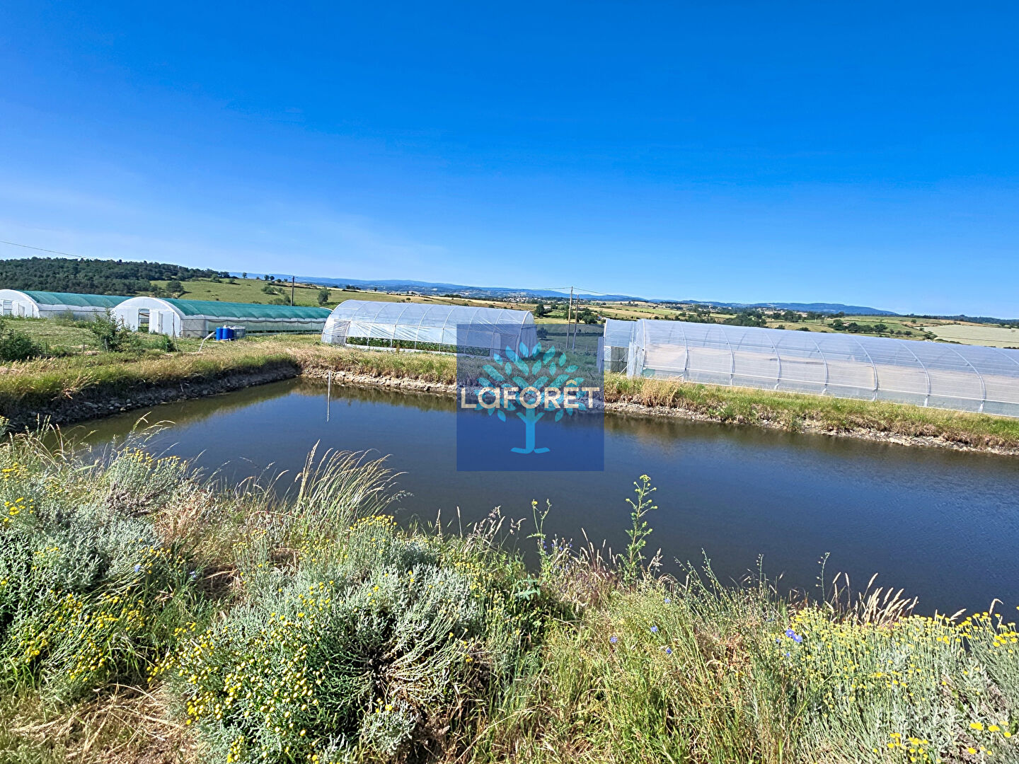 VENTE - Local - SOUTERNON (42260) - 750000 €
